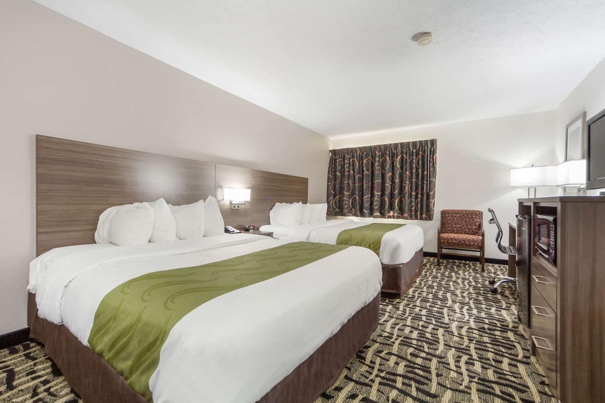 A hotel room with two beds, a desk, a chair, a television, and a patterned carpet.