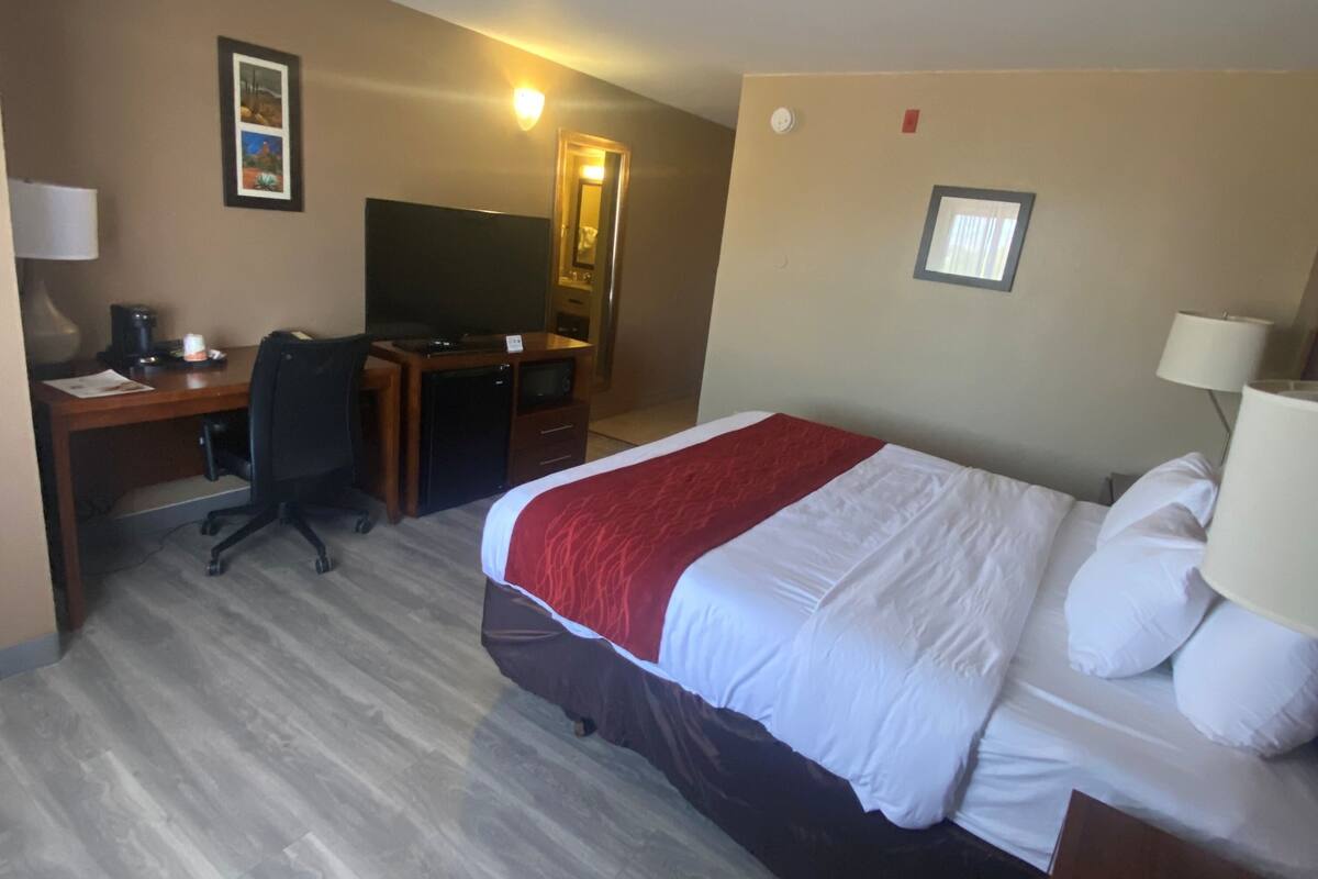 A hotel room with a bed, desk, chair, and a television.