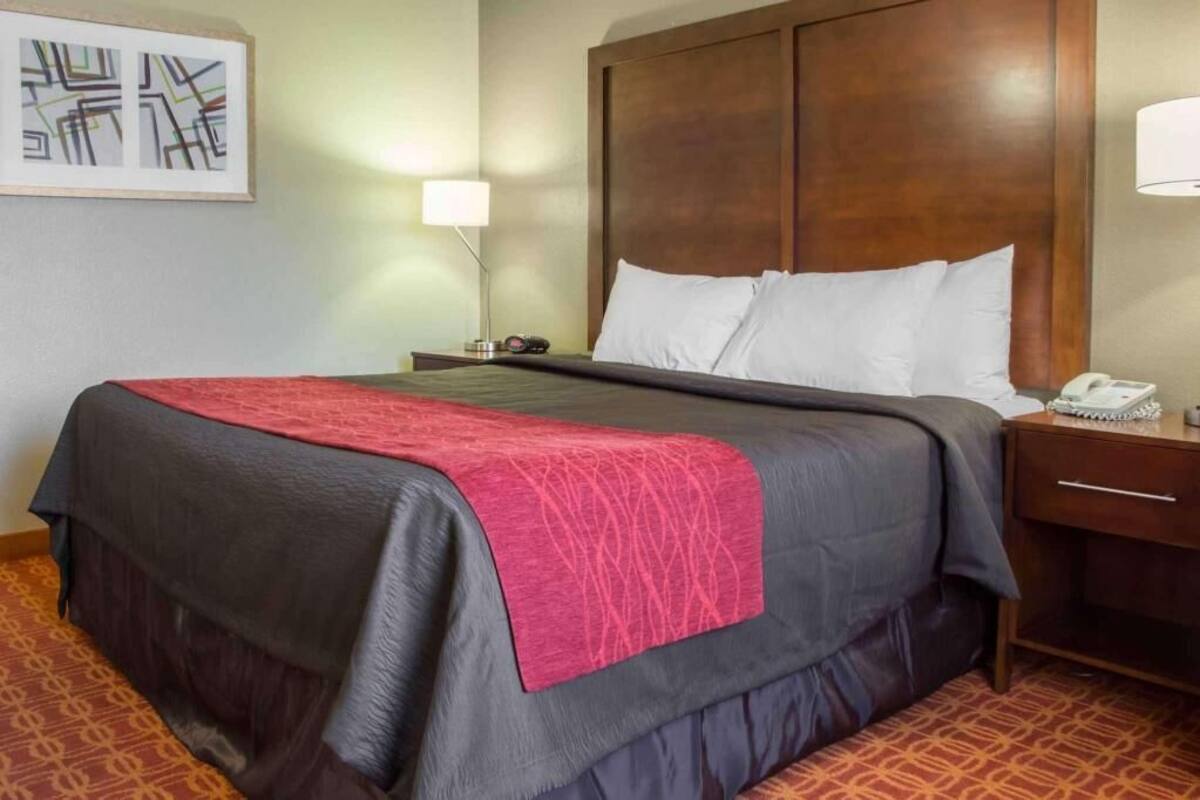 A hotel room with a large bed, a wooden headboard, a bedside table with a lamp, and a framed picture on the wall.
