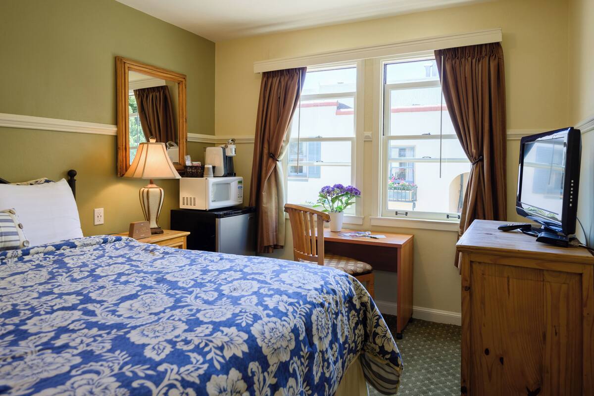 A hotel room with a bed, a desk, a television, a chair, a window with curtains, and a potted plant.