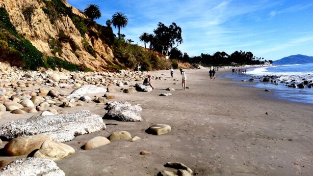 A rocky beach with people walking, palm trees, and a clear sky. - Coast Village Inn - Santa Barbara (Santa Barbara)