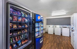 Servicio de la propiedad