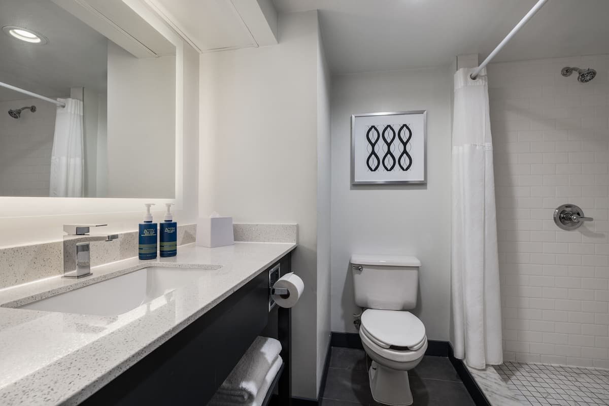 shower, free toiletries, hair dryer, towels