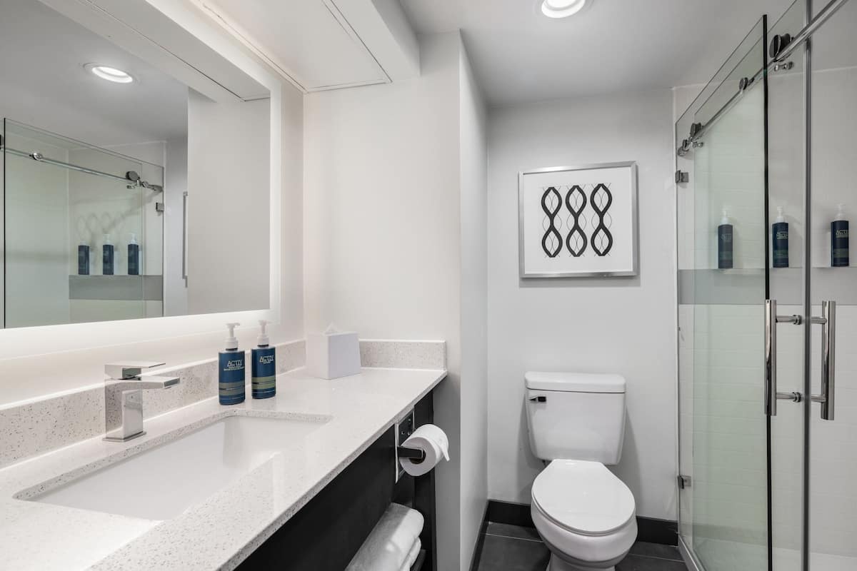 shower, free toiletries, hair dryer, towels