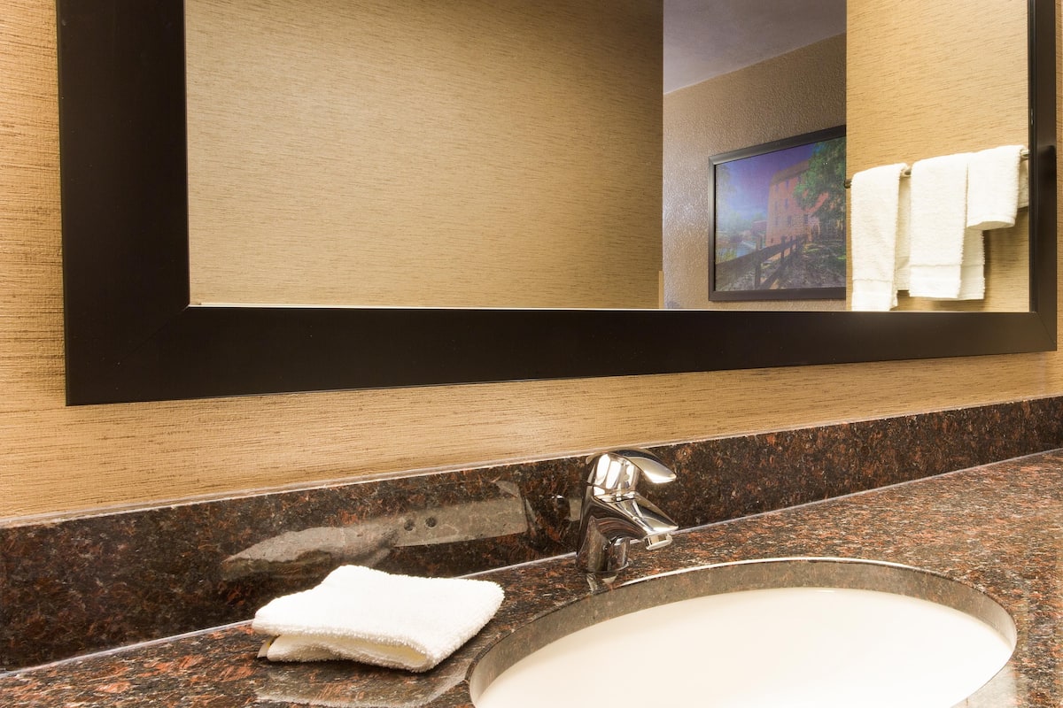 combined shower/bathtub, free toiletries, hair dryer, towels