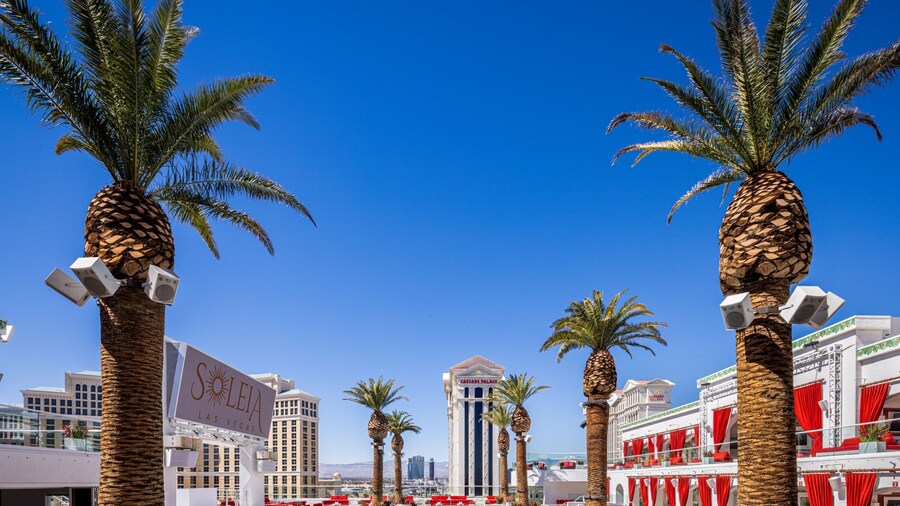 The Vanderpump Las Vegas Hotel Casino - A Caesars Rewards Destination