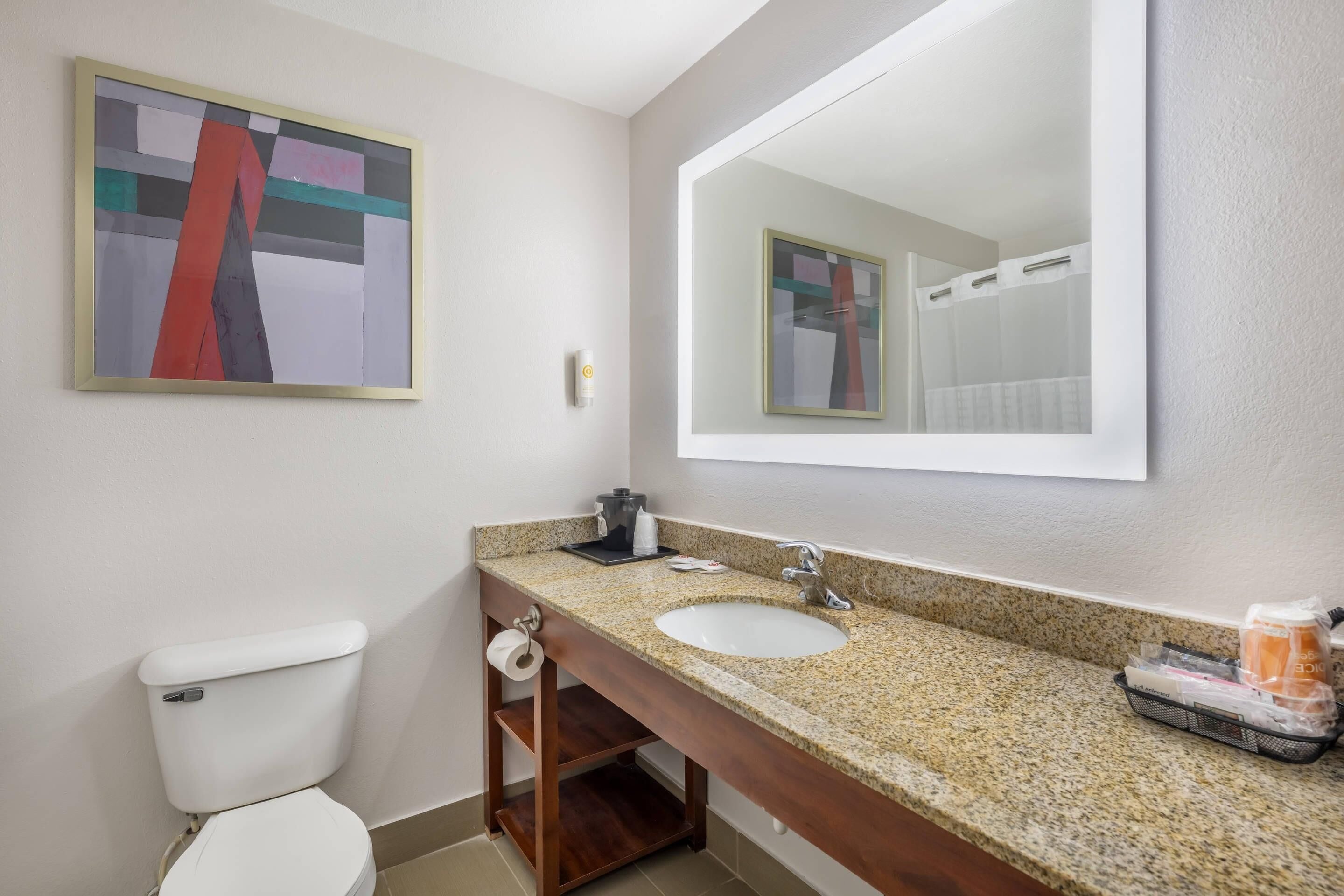 Een badkamer met toilet, wastafel en spiegel.