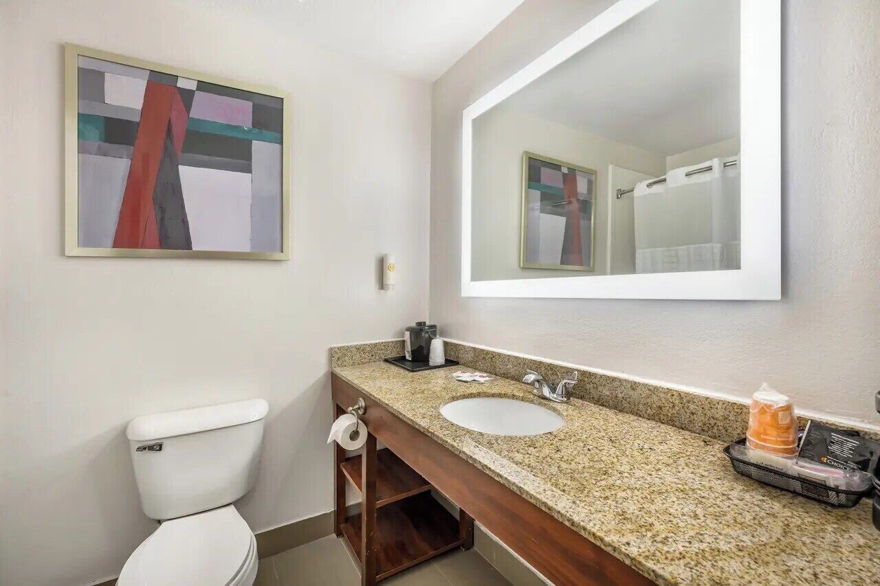 Une salle de bain avec des toilettes blanches, un lavabo en granit, un miroir et un tableau accroché au mur.