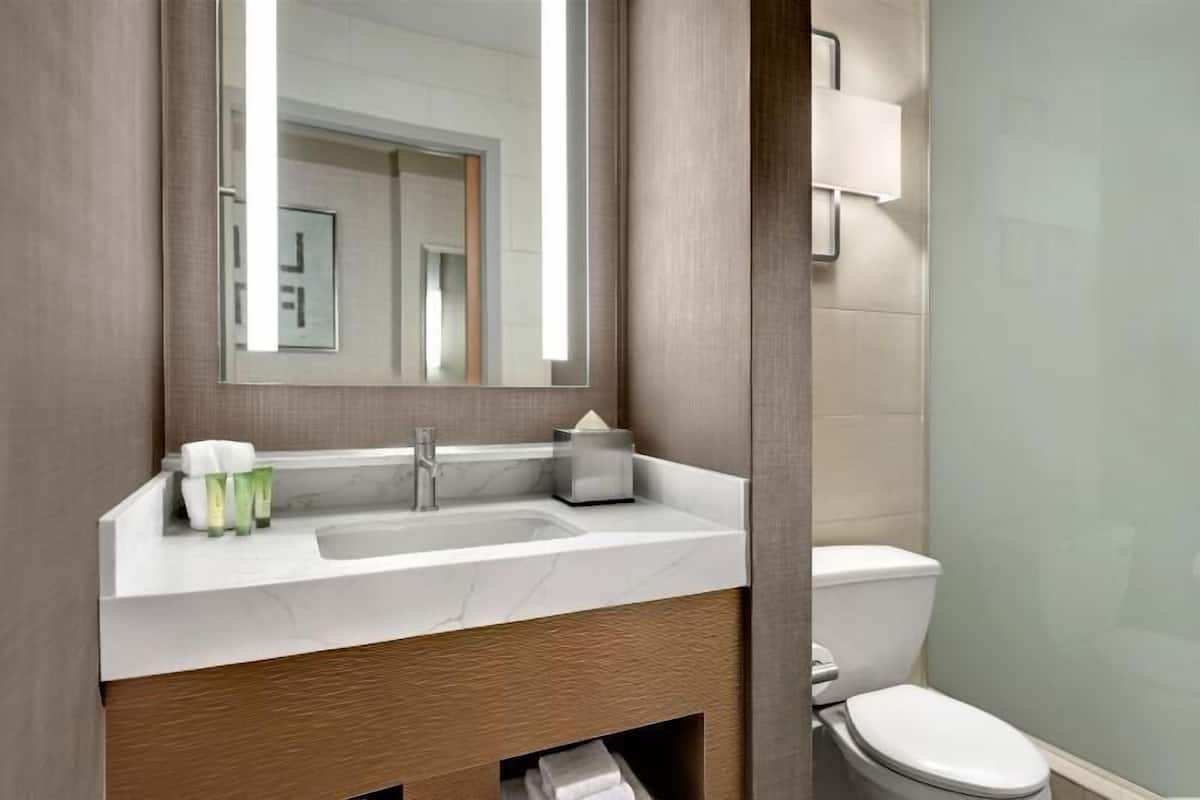 Baño | Amenidades de baño ecológicas, secadora de cabello, toallas, jabón