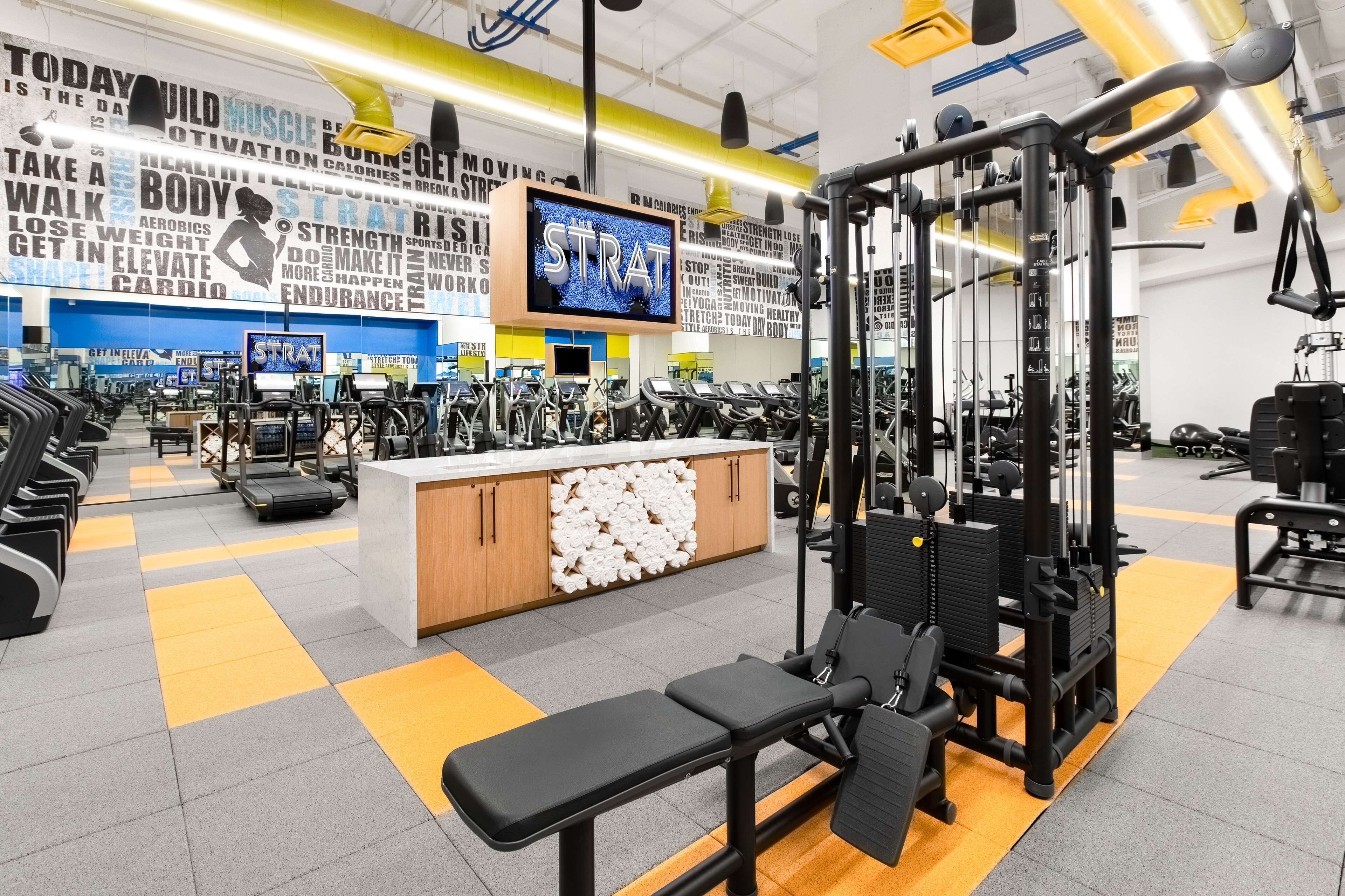 Ein Fitnessstudio mit Laufbändern, Kraftgeräten und einer Bank.
