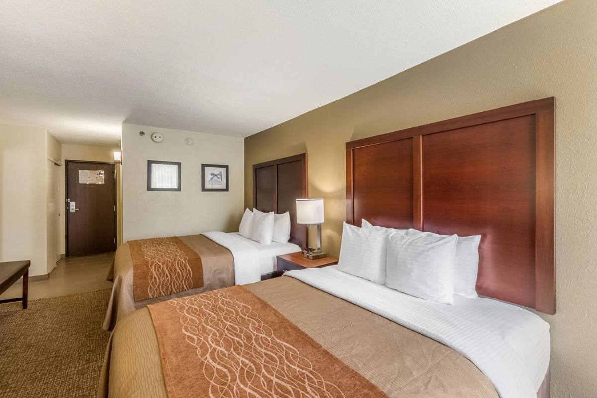 Down comforters, desk, laptop workspace, blackout drapes