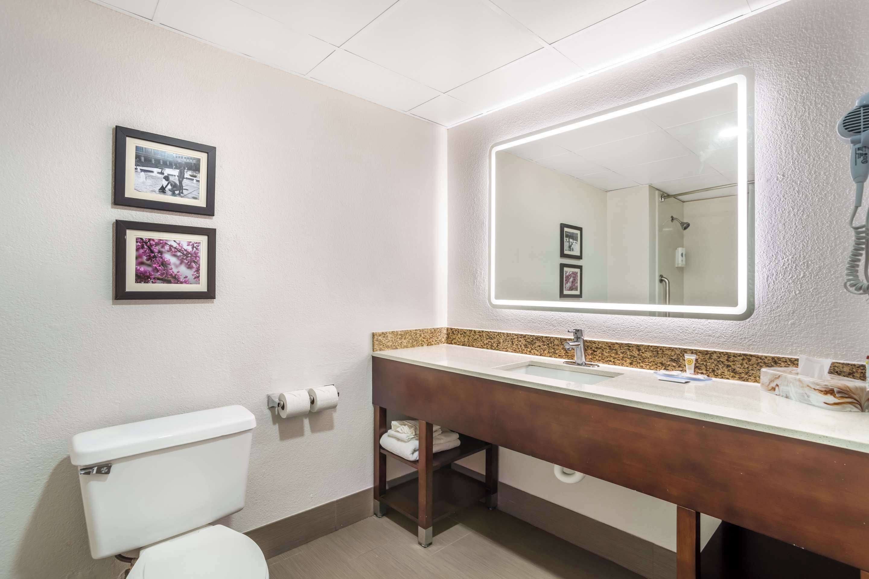 Room, 1 King Bed, Accessible, Non Smoking | Down duvets, desk, laptop workspace, blackout curtains