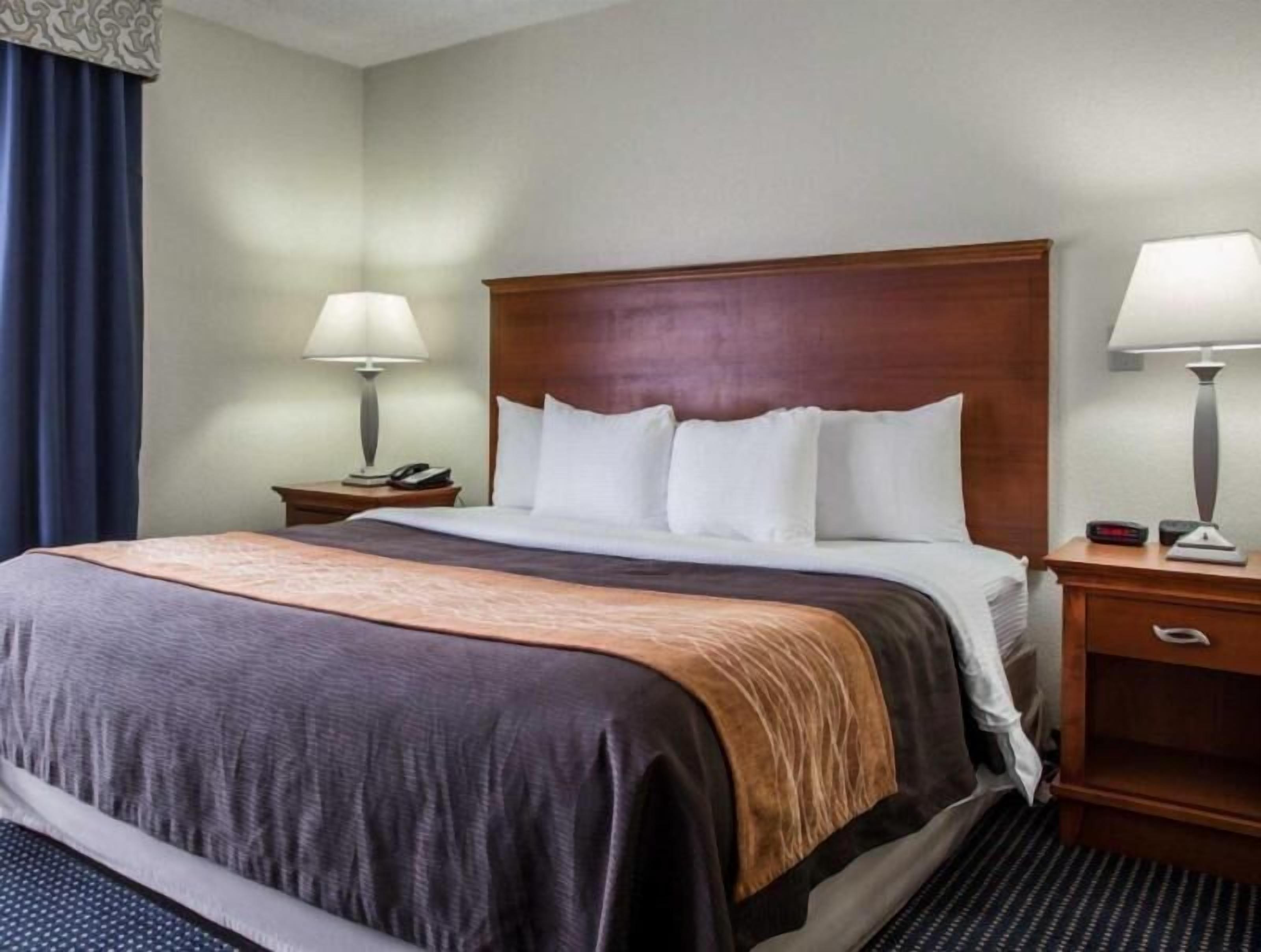 Down comforters, desk, laptop workspace, blackout drapes