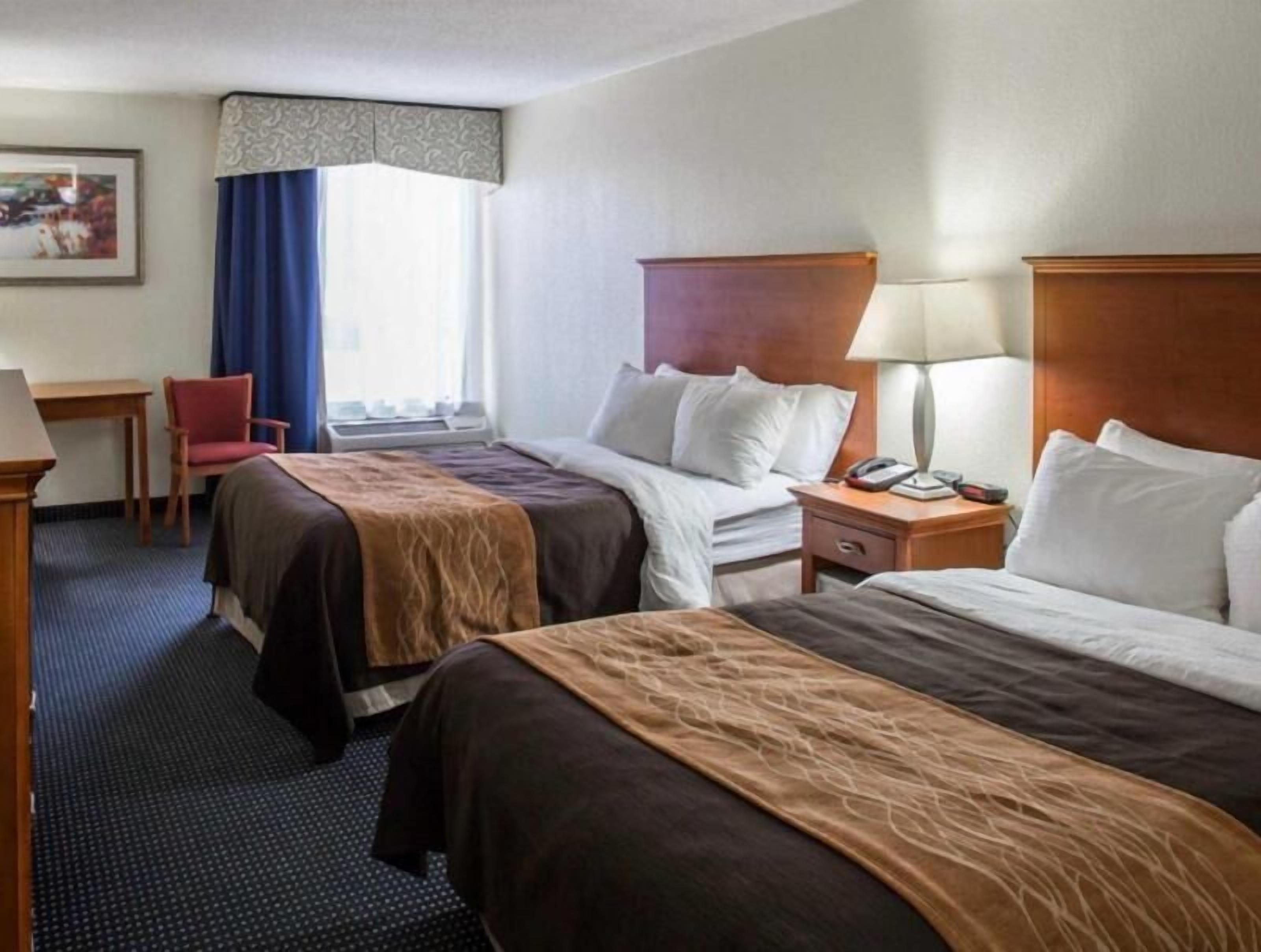 Down comforters, desk, laptop workspace, blackout drapes