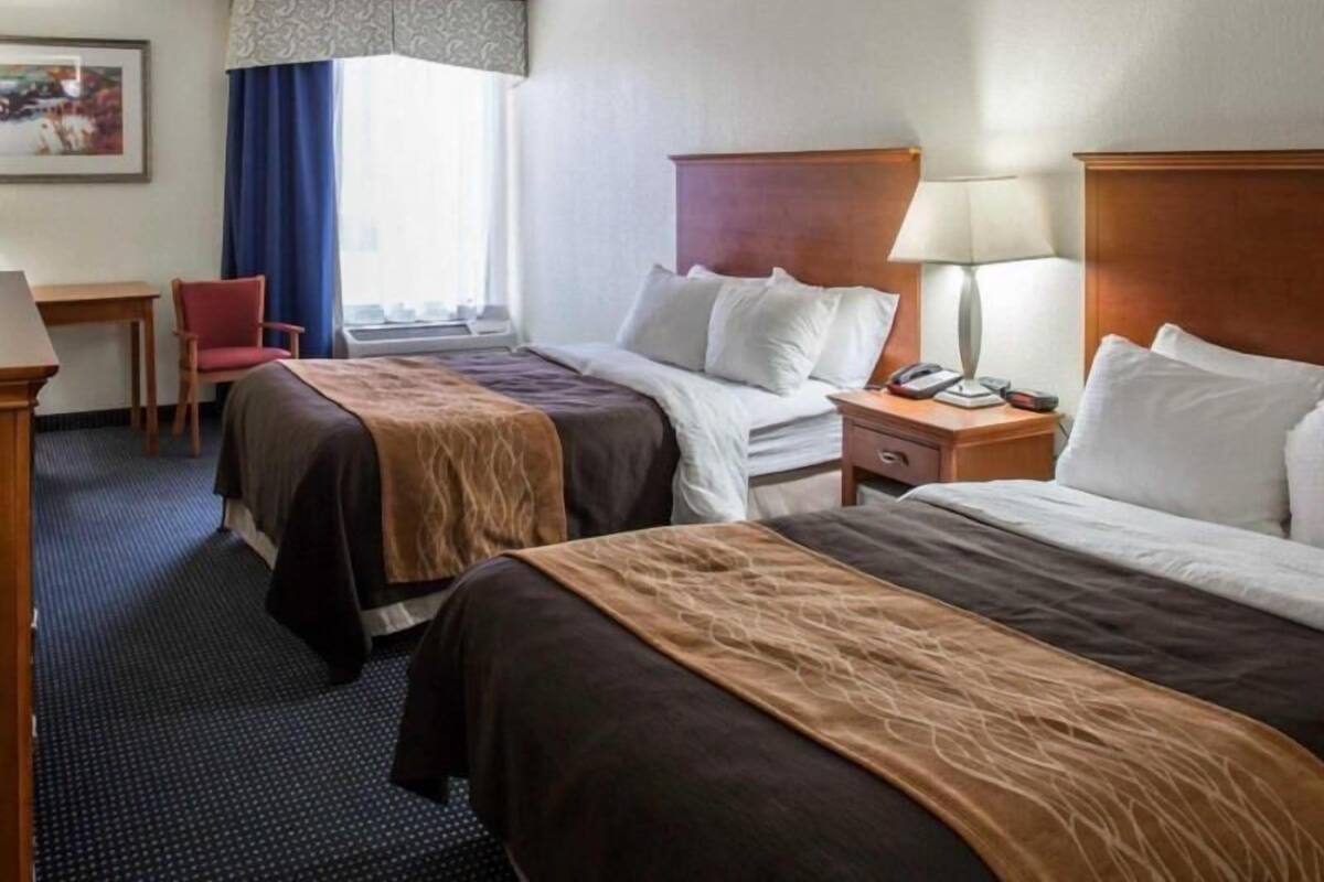 Down comforters, desk, laptop workspace, blackout drapes