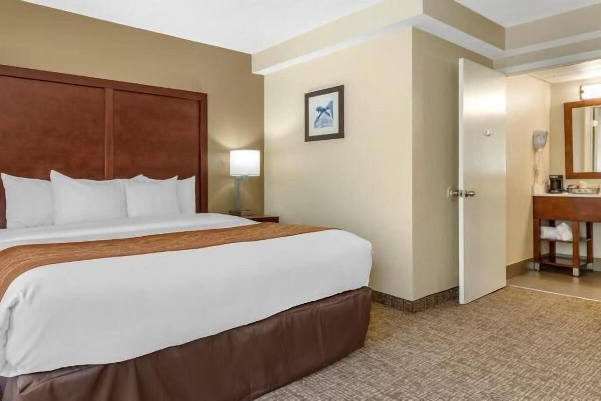 Down comforters, desk, laptop workspace, blackout drapes