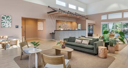voco Kissimmee Orlando by IHG