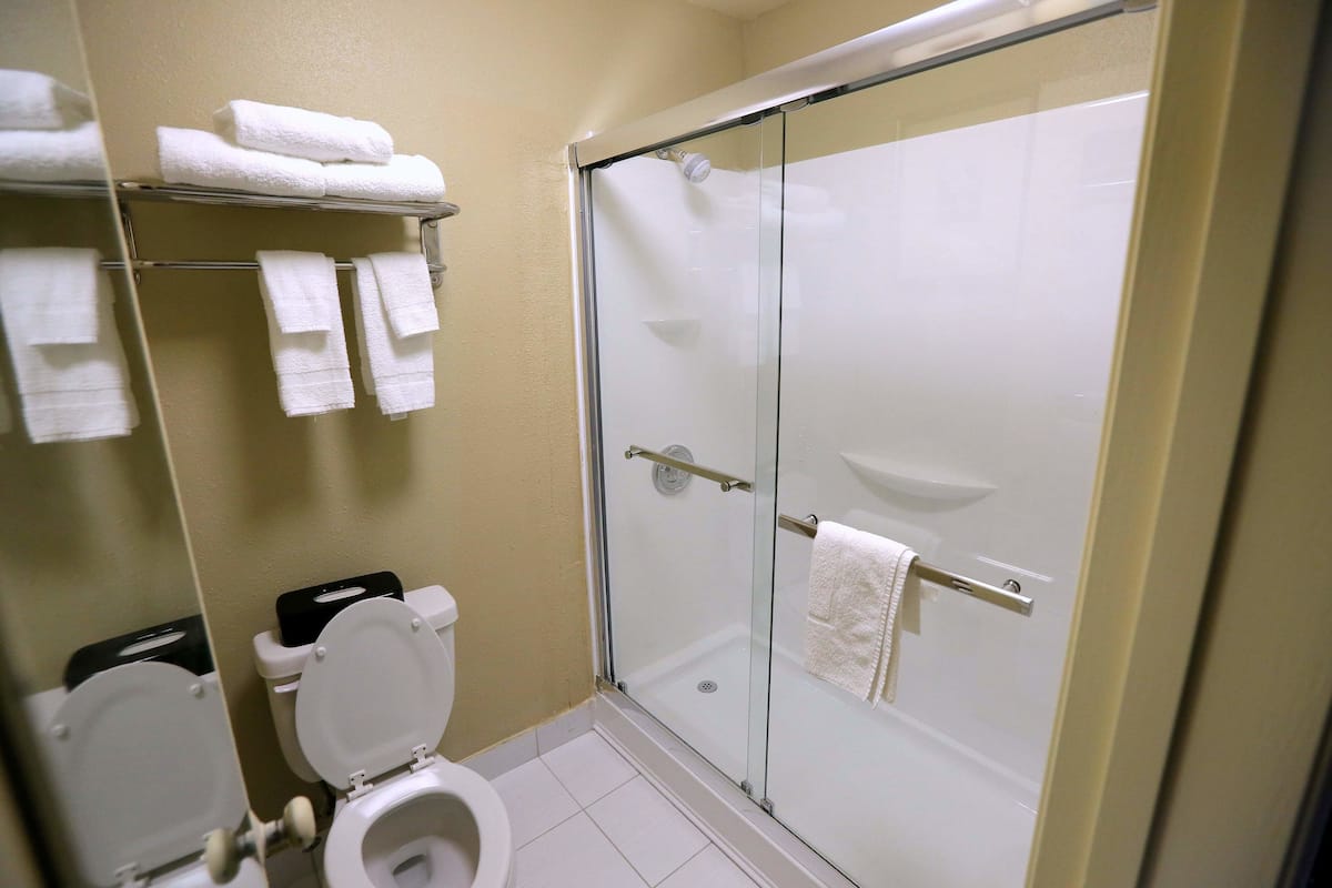 combined shower/bathtub, eco-friendly toiletries, hair dryer, towels