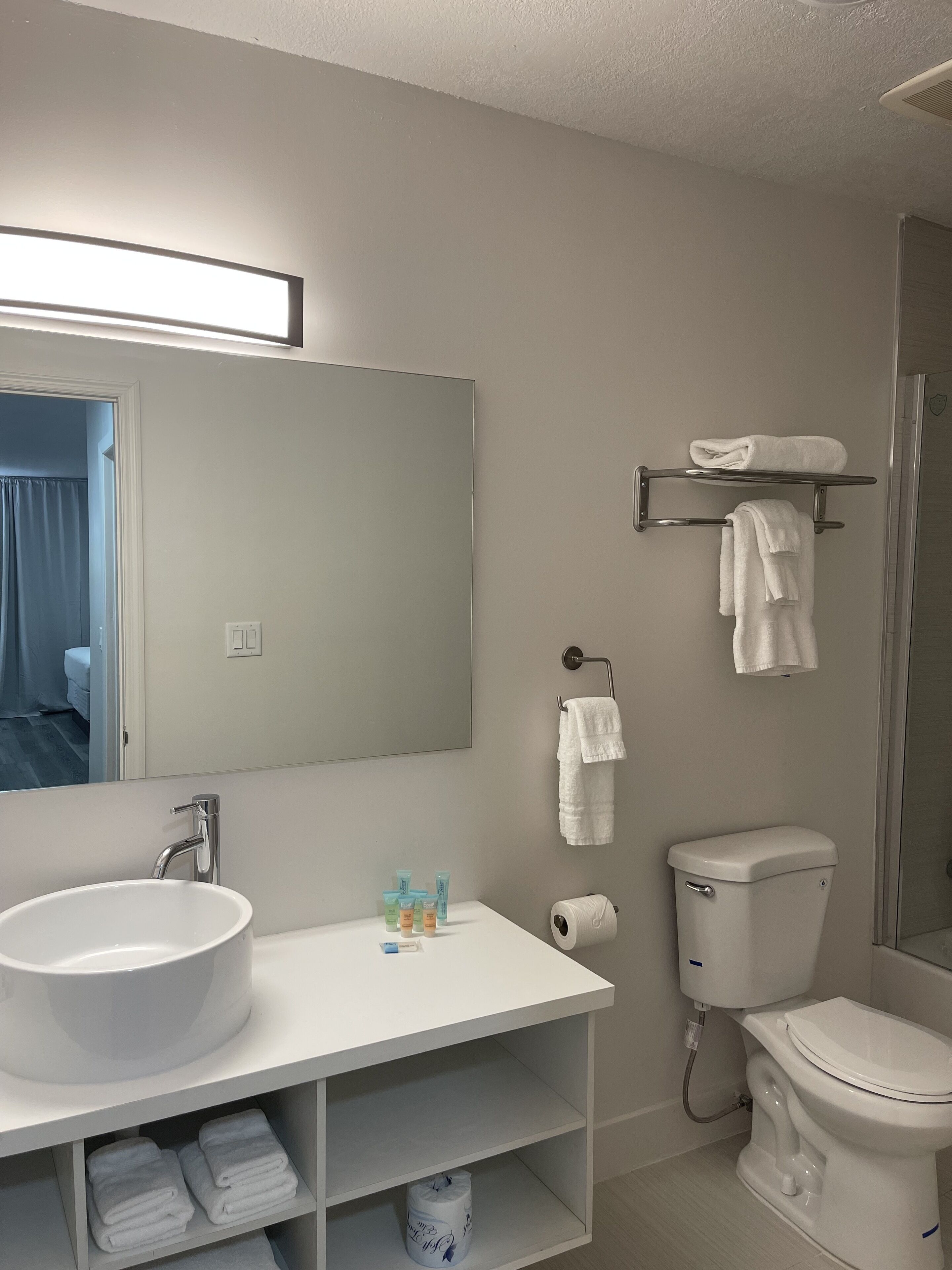 deluxe suite | bathroom | combined shower/bathtub, rainfall showerhead, designer toiletries