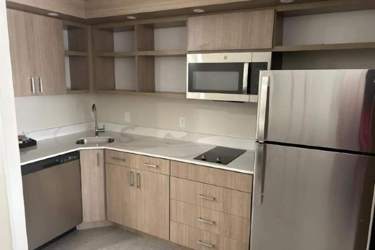 Fridge, microwave, stovetop, dishwasher