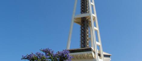 A tall tower with a circular observation deck at the top, surrounded by trees with purple flowers.