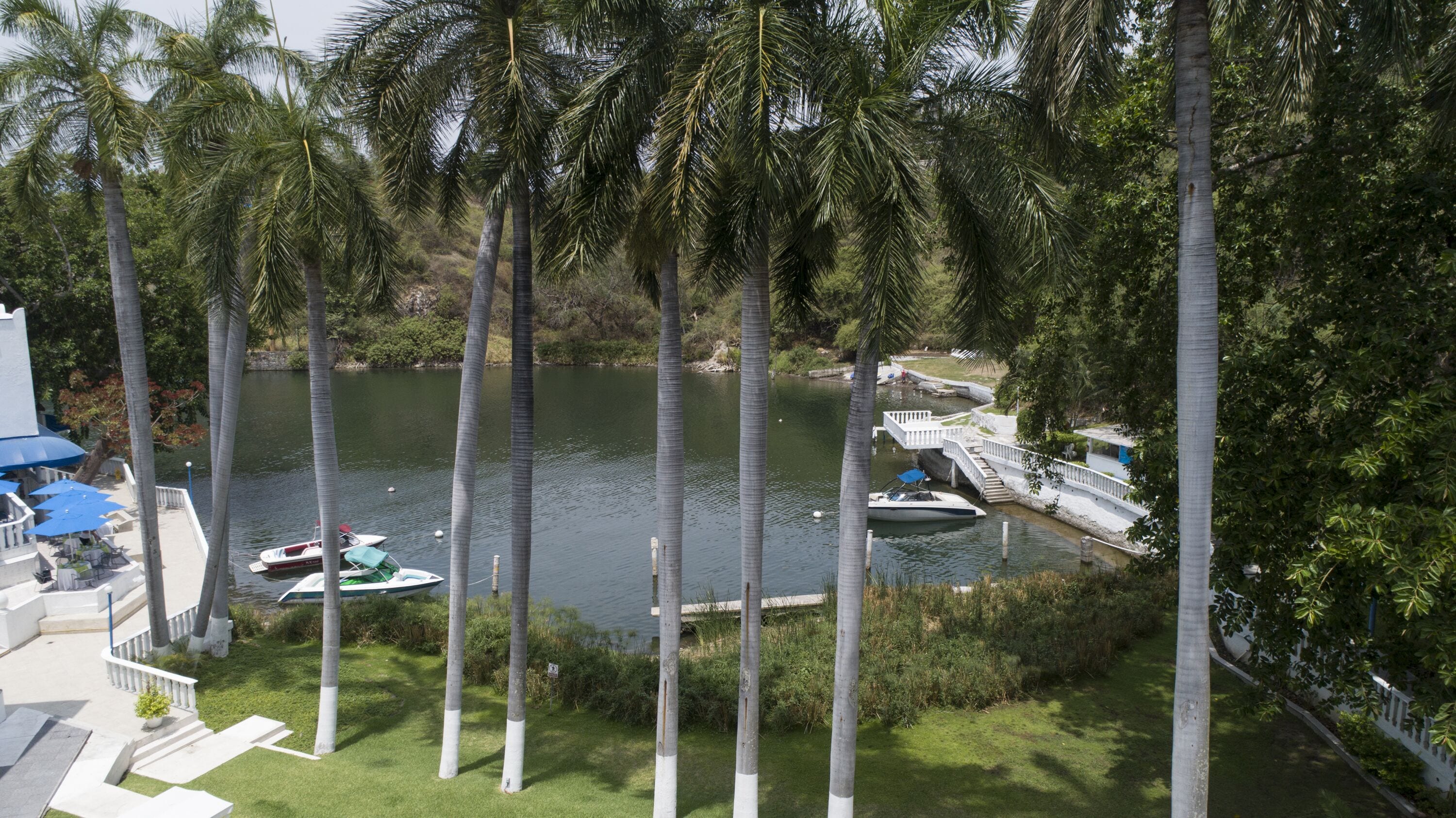 A serene lakeside view with a dock, palm trees, and a small boat.