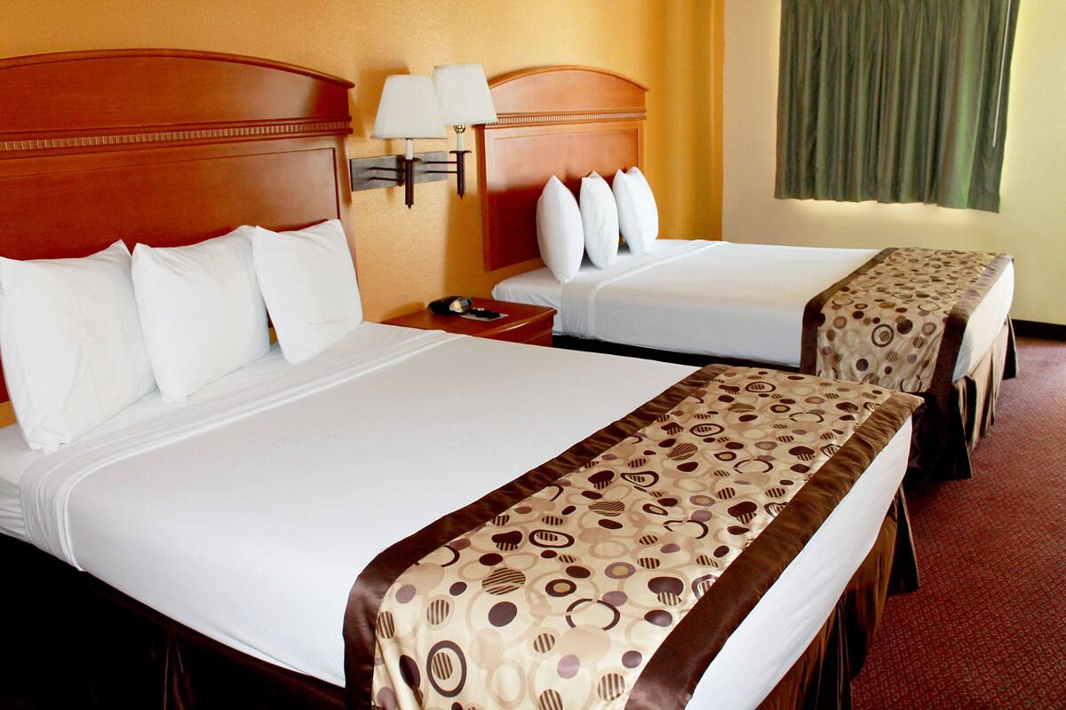 Une chambre d’hôtel avec deux lits, chacun agrémenté de draps blancs et d’un couvre-lit à motifs. Il y a deux tables de chevet avec des lampes, et un rideau vert à la fenêtre.