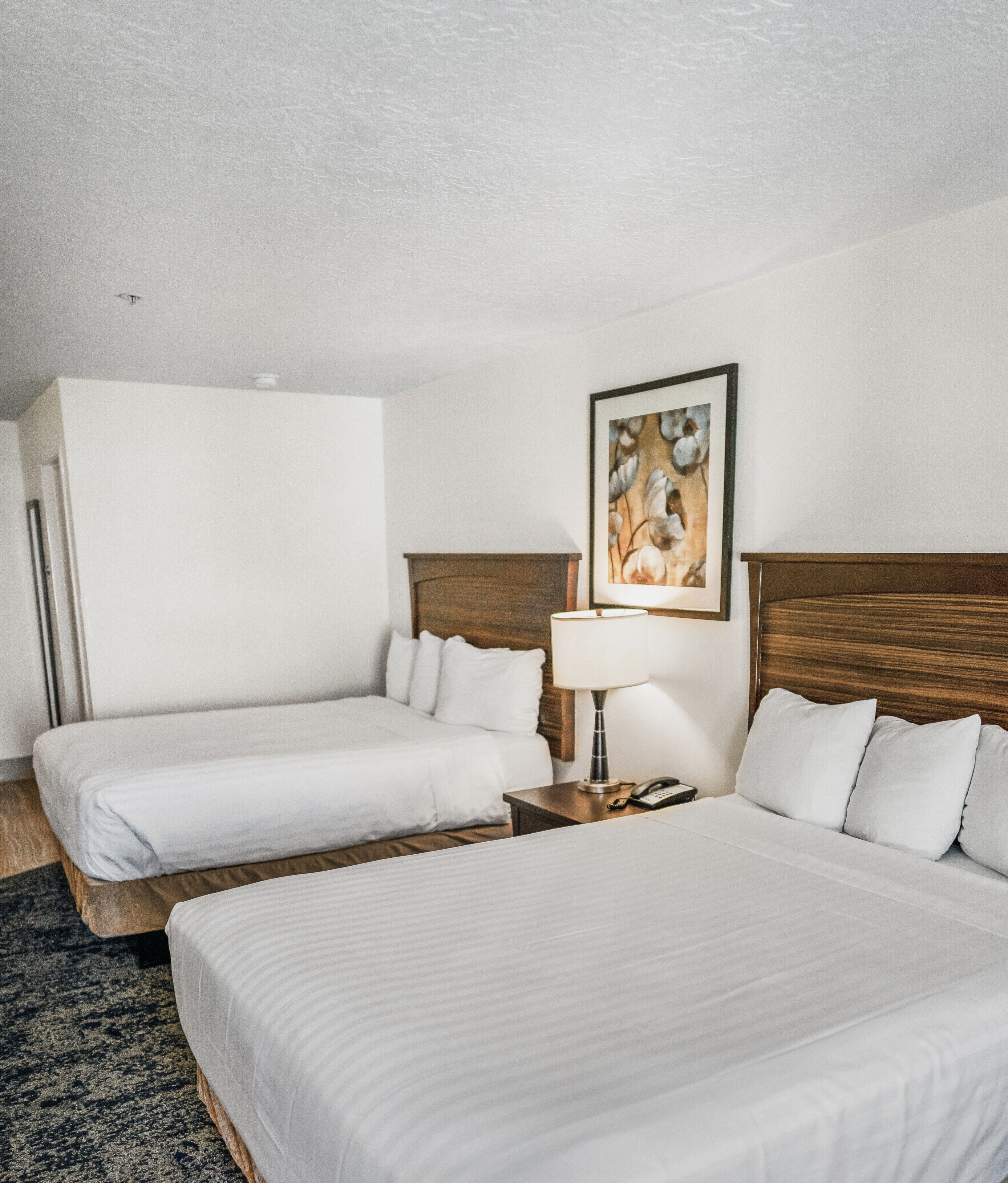 Foto - Crystal Inn Hotel & Suites - Salt Lake City