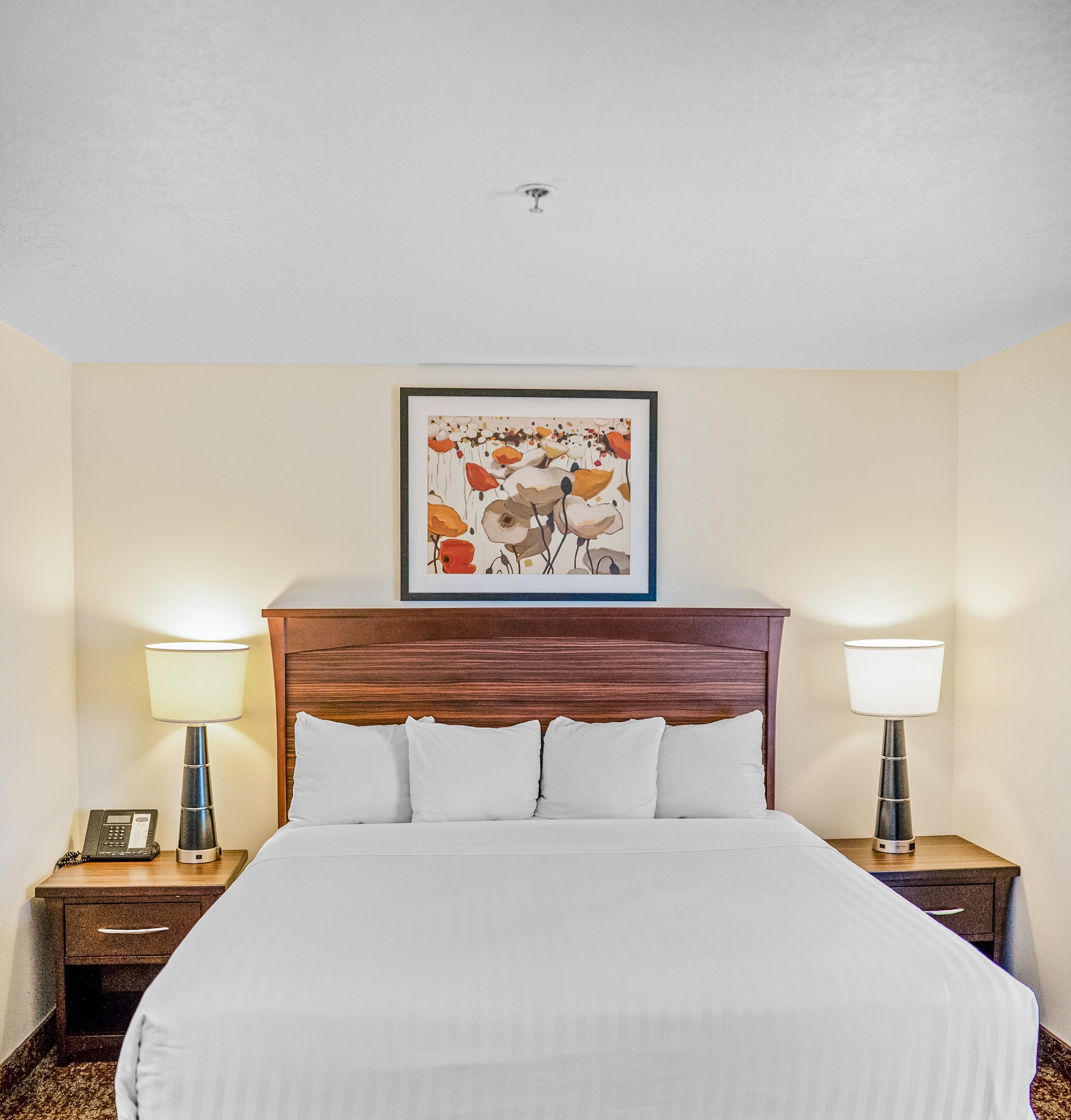 Habitación de hotel con una cama grande, dos mesitas de noche con lámparas, una obra enmarcada sobre la cama y un teléfono en la mesita de la izquierda.
