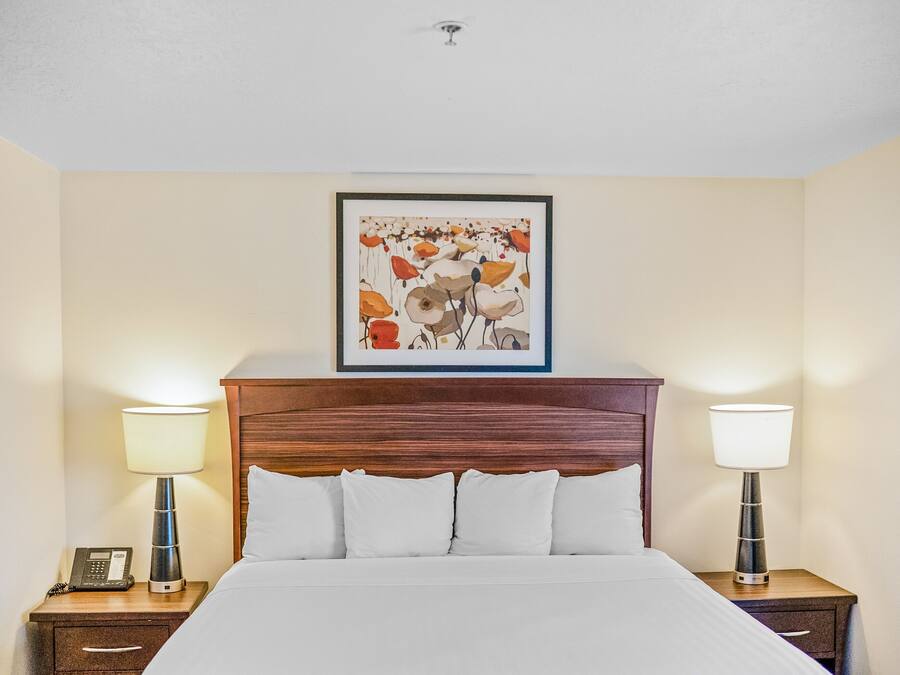 A hotel room with a large bed, two bedside tables with lamps, a framed artwork above the bed, and a telephone on the left side table.