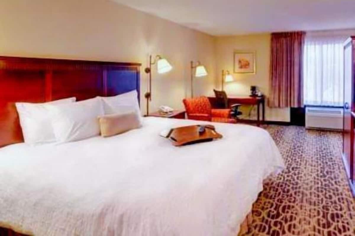 Premium bedding, desk, blackout curtains, free cots/infant beds