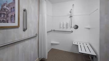 A wheelchair-accessible shower room with grab bars, a showerhead, and a handrail.