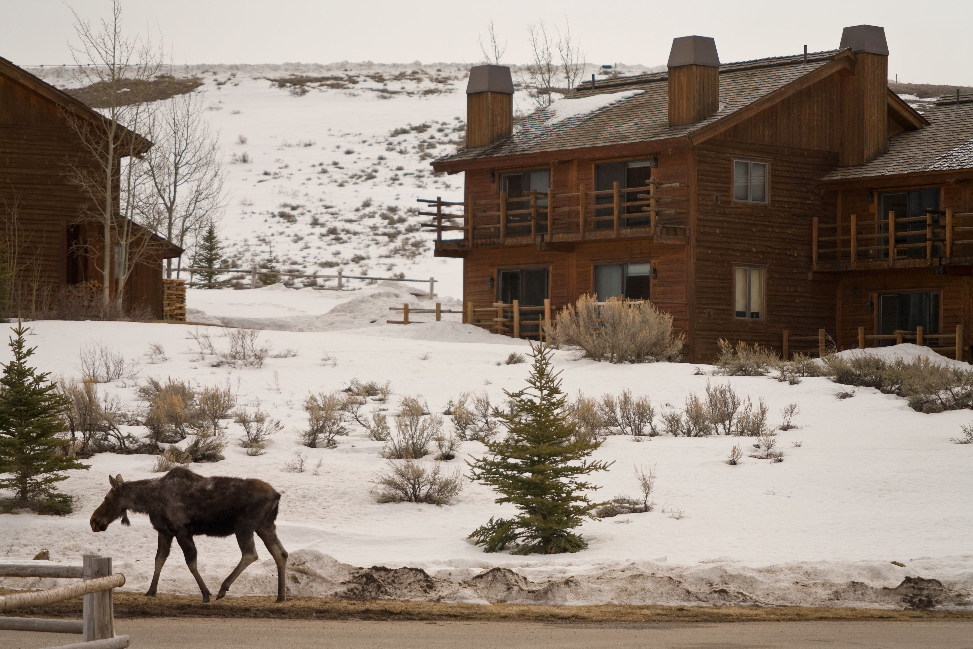 A rustic log cabin with a snow-covered landscape.