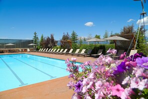 Alberca al aire libre, sombrillas en la alberca y camastros 