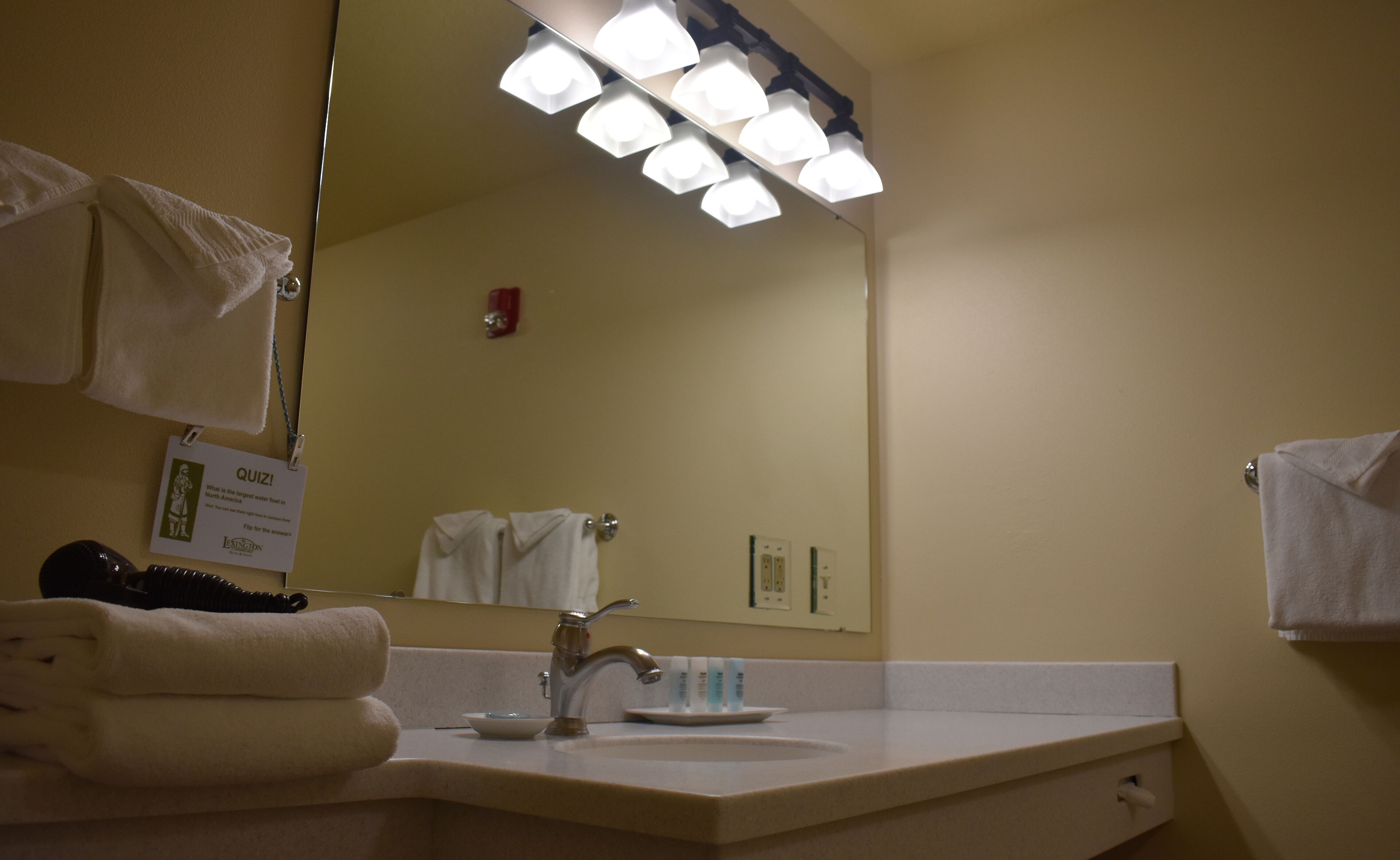 A bathroom with a sink, mirror, and towel rack.