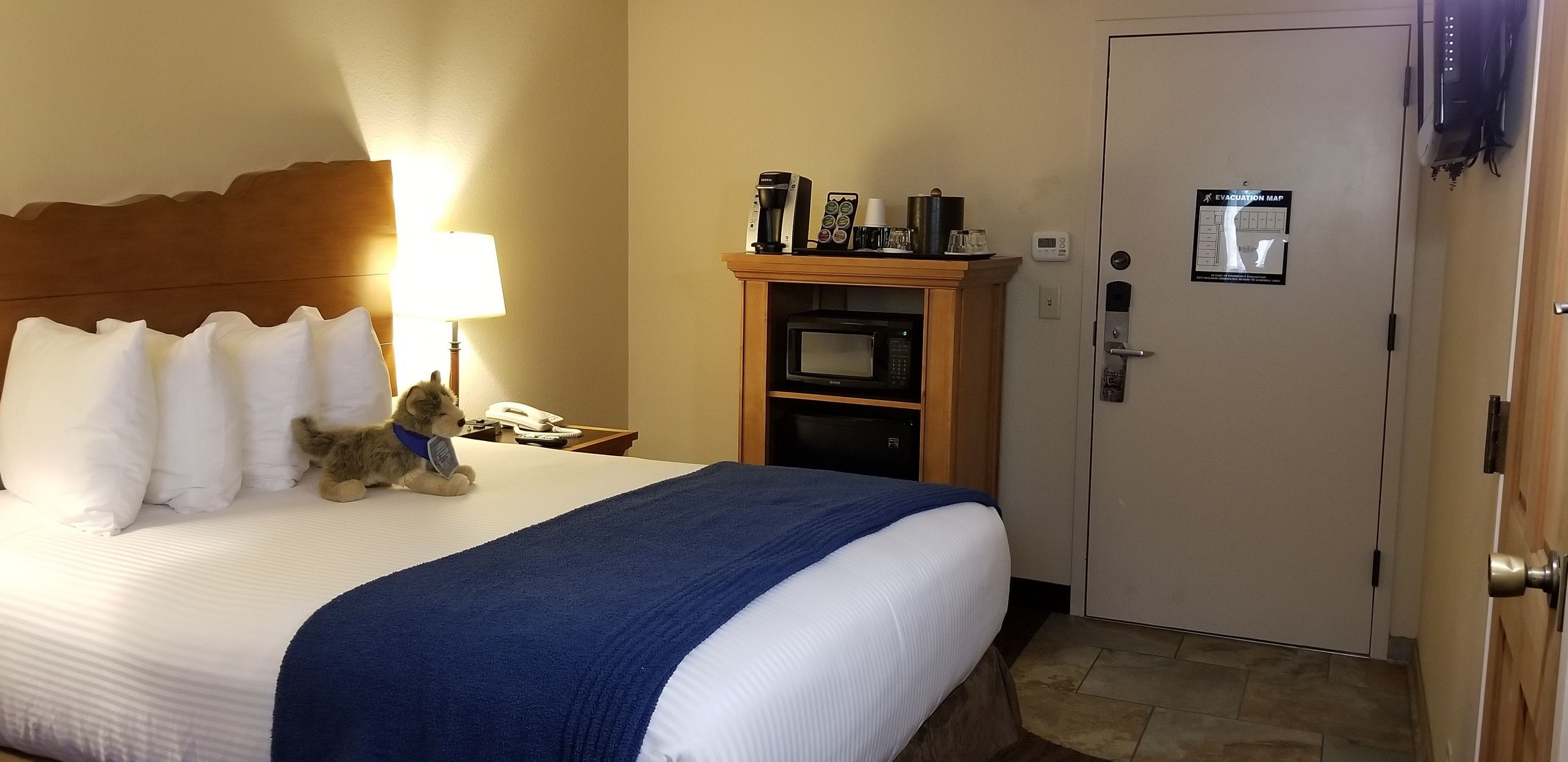 A hotel room with a bed, a nightstand, a lamp, a microwave, a coffee maker, and an emergency exit sign.
