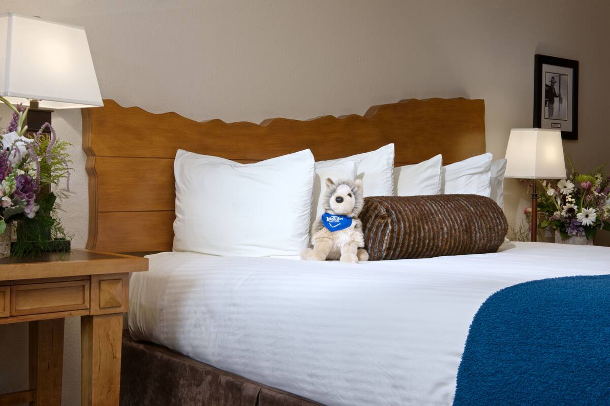 A hotel room with a wooden headboard, white bedding, a small dog with a blue bandana, and a bedside table with a lamp and flowers.