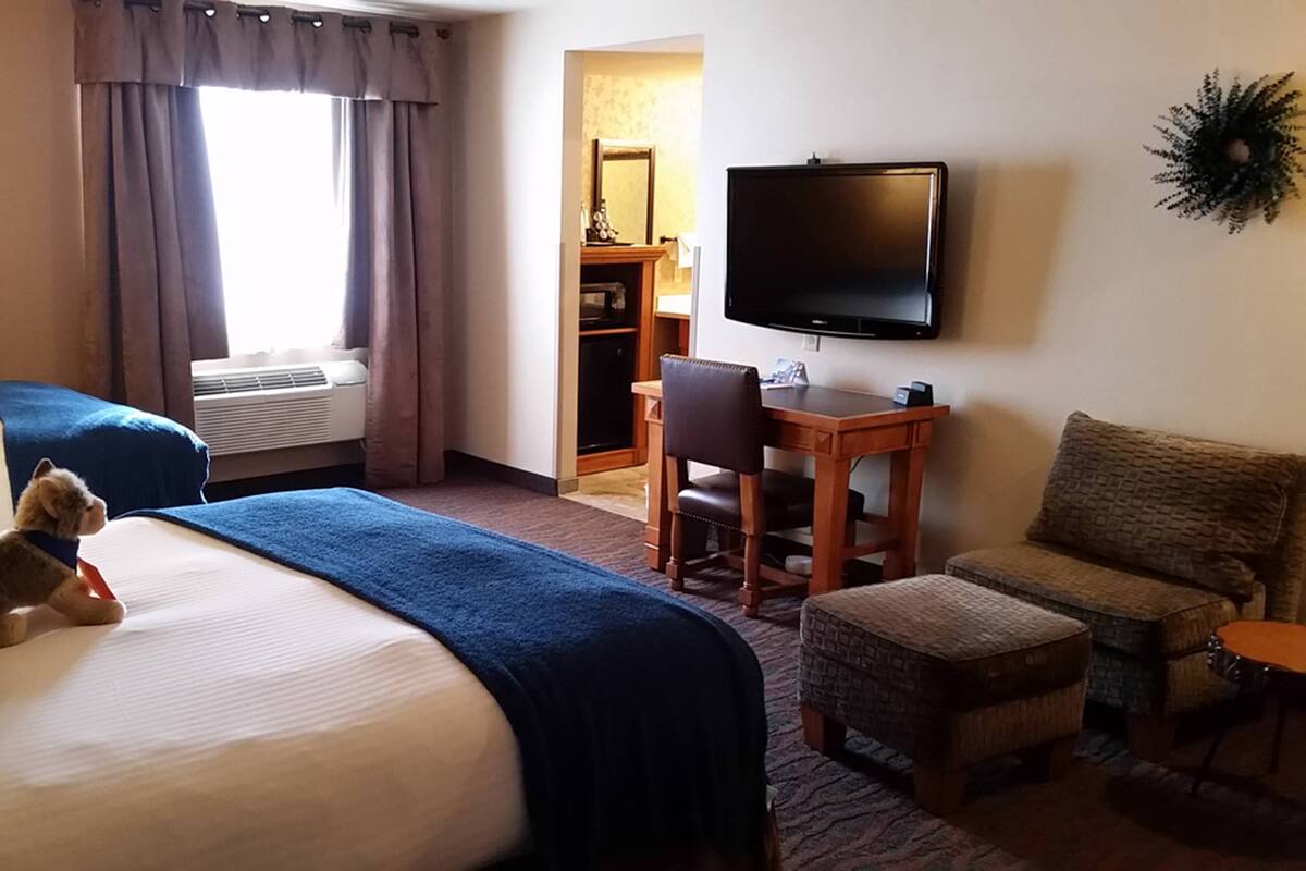 A hotel room with two beds, a desk, a chair, a television, and a small rug.