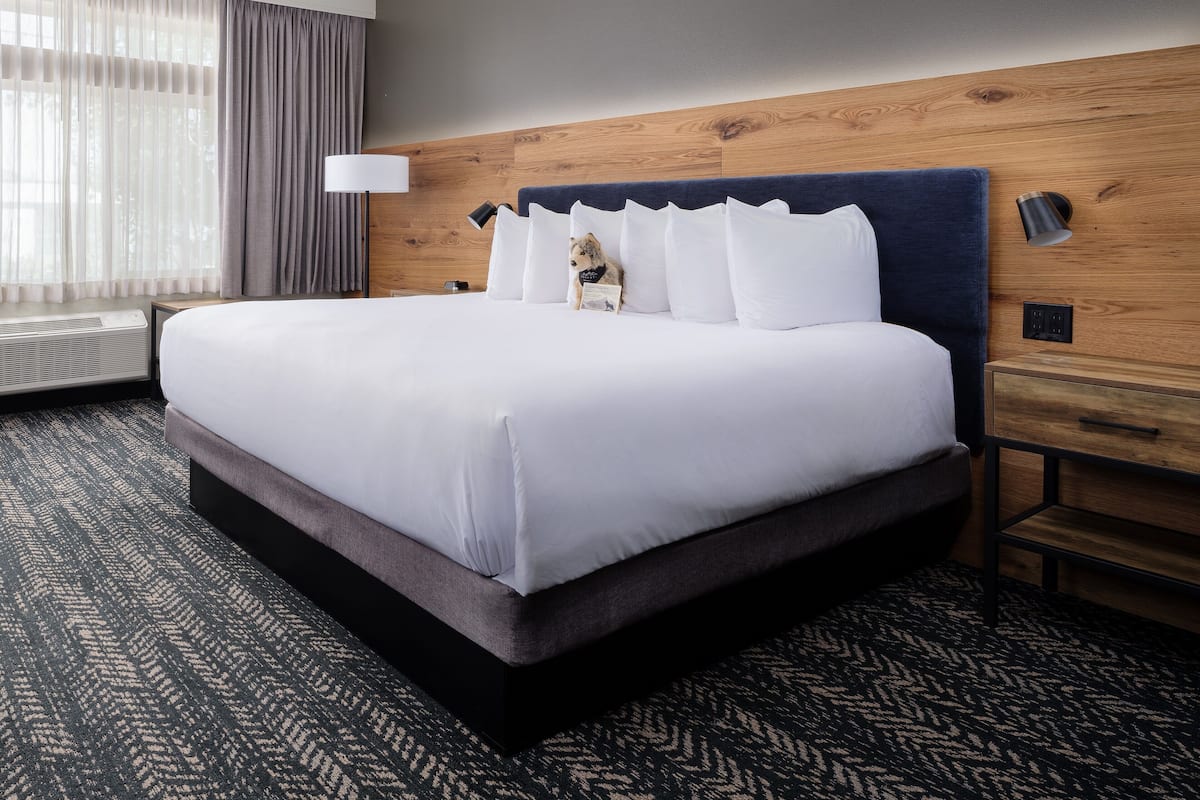 A hotel room with a large bed, a wooden headboard, a nightstand with a lamp, and a patterned carpet.