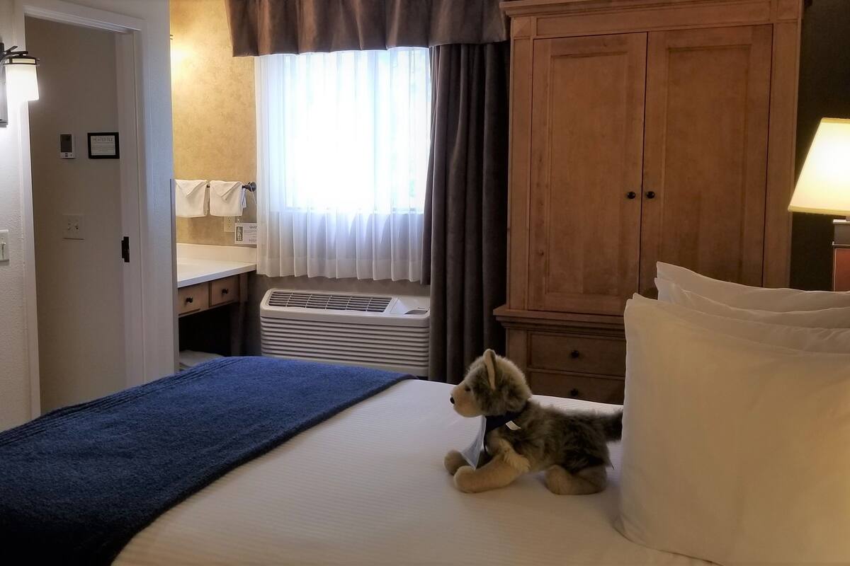 Compact Room, 1 Queen Bed, Connecting Rooms, Courtyard Area (Stair Access Only)