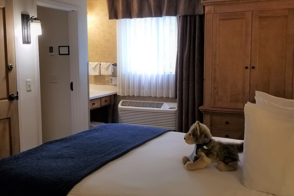 Chambre Économique, 1 grand lit