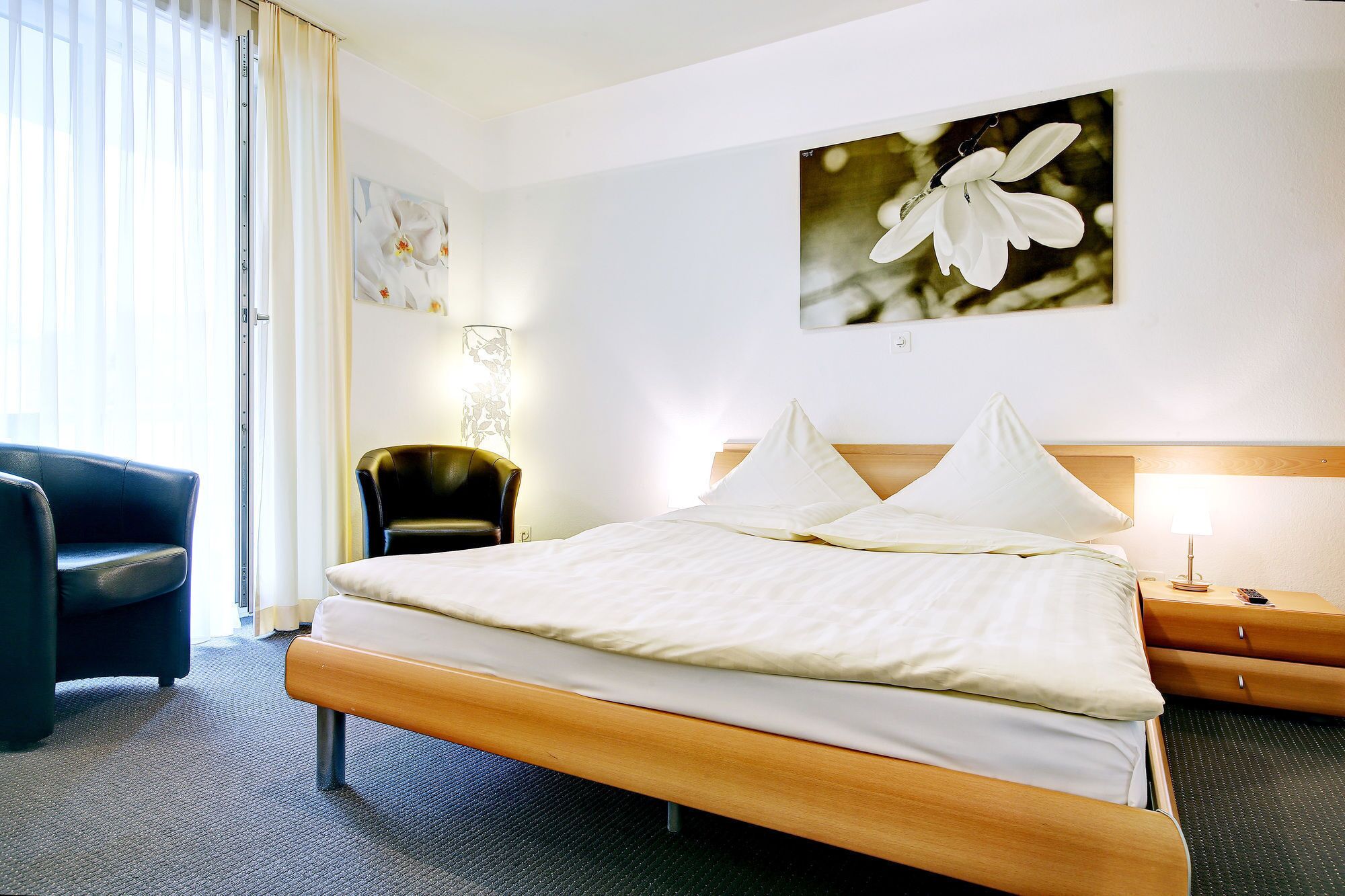 hypo-allergenic bedding, select comfort beds, desk, free wifi