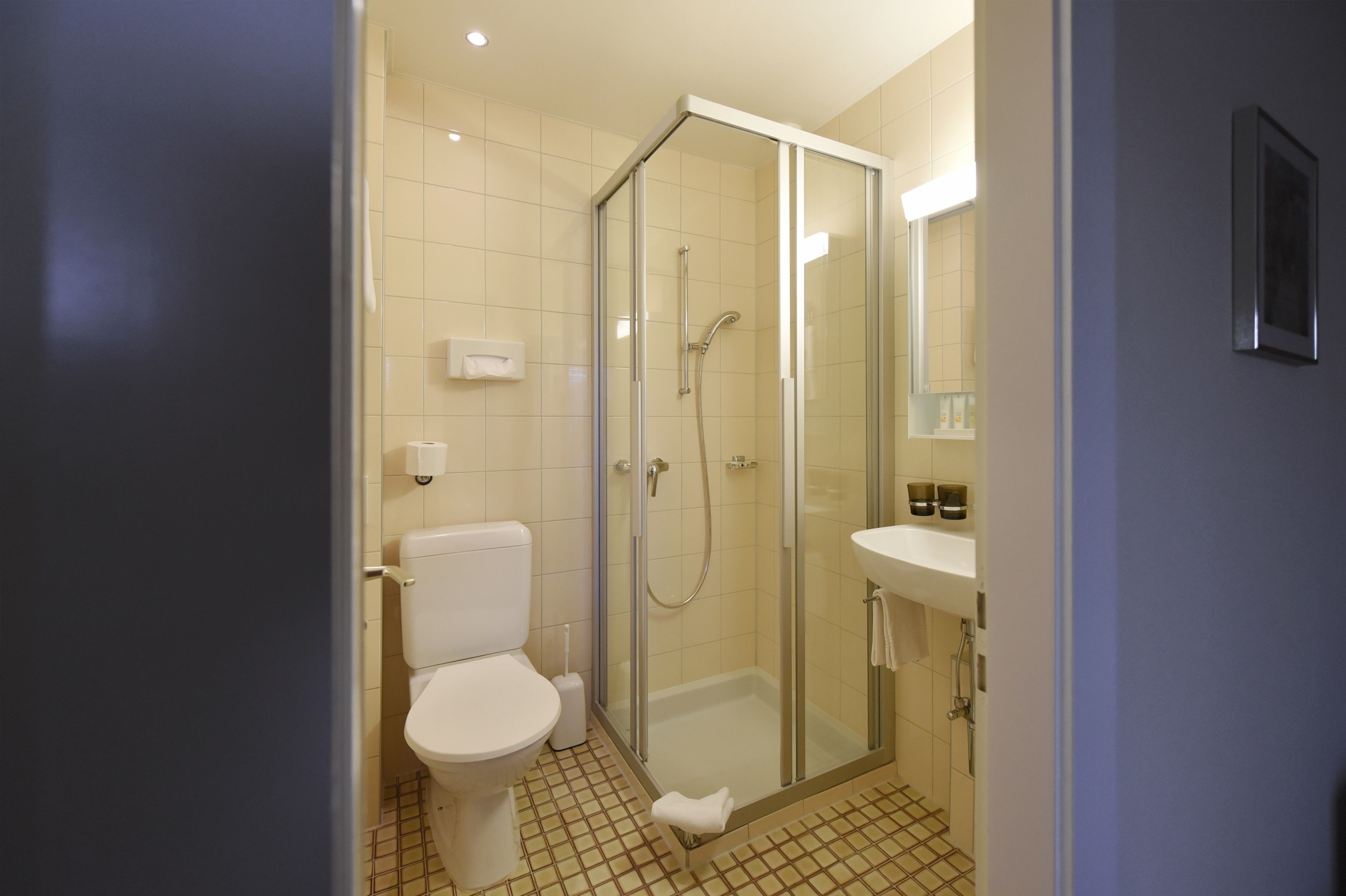 Ein Badezimmer mit Toilette, einer behindertzugänglichen Dusche und einem Waschbecken mit Spiegel.