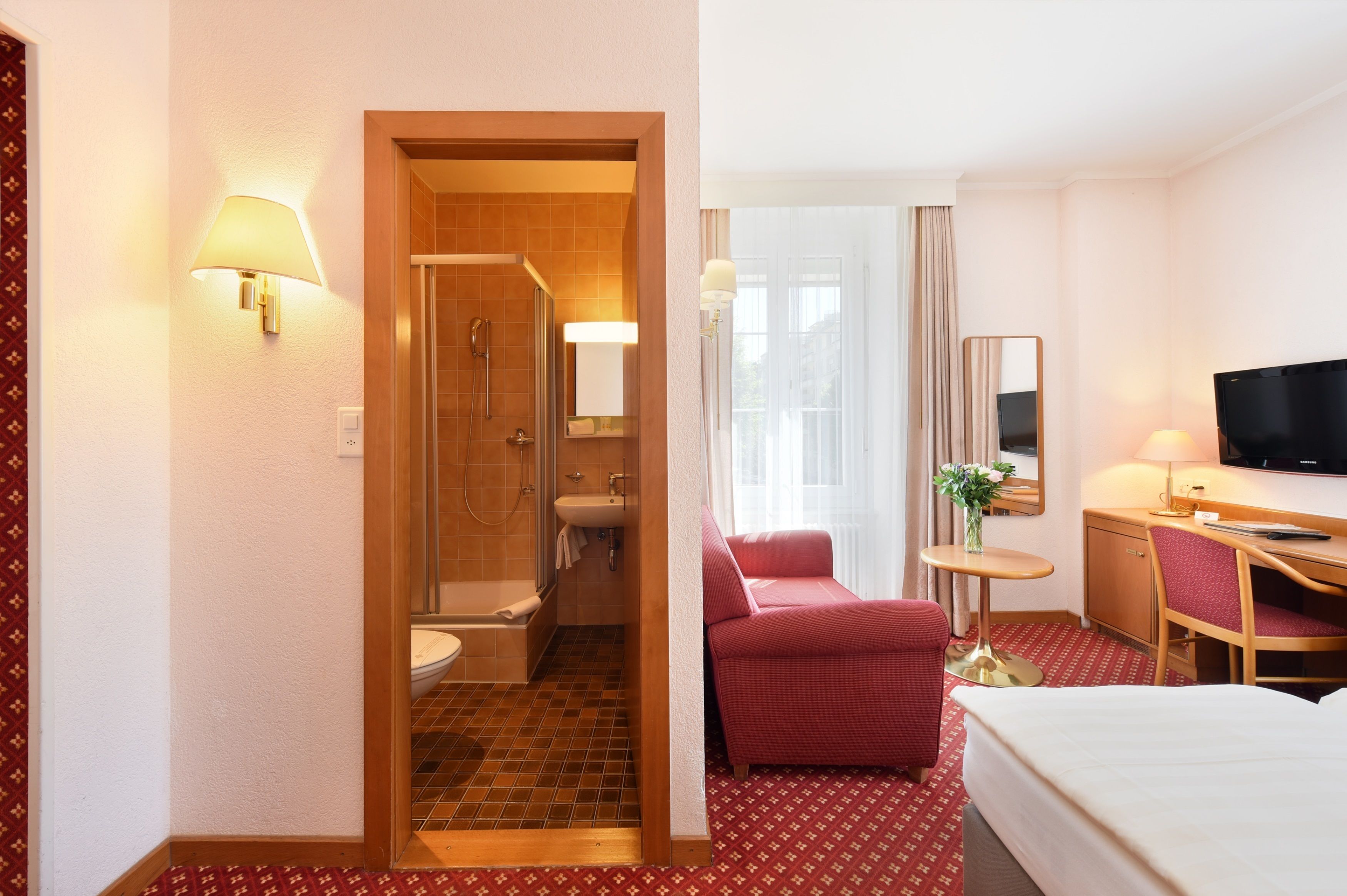A hotel room with a shower, toilet, bed, desk, chair, TV, and a small table with a plant.