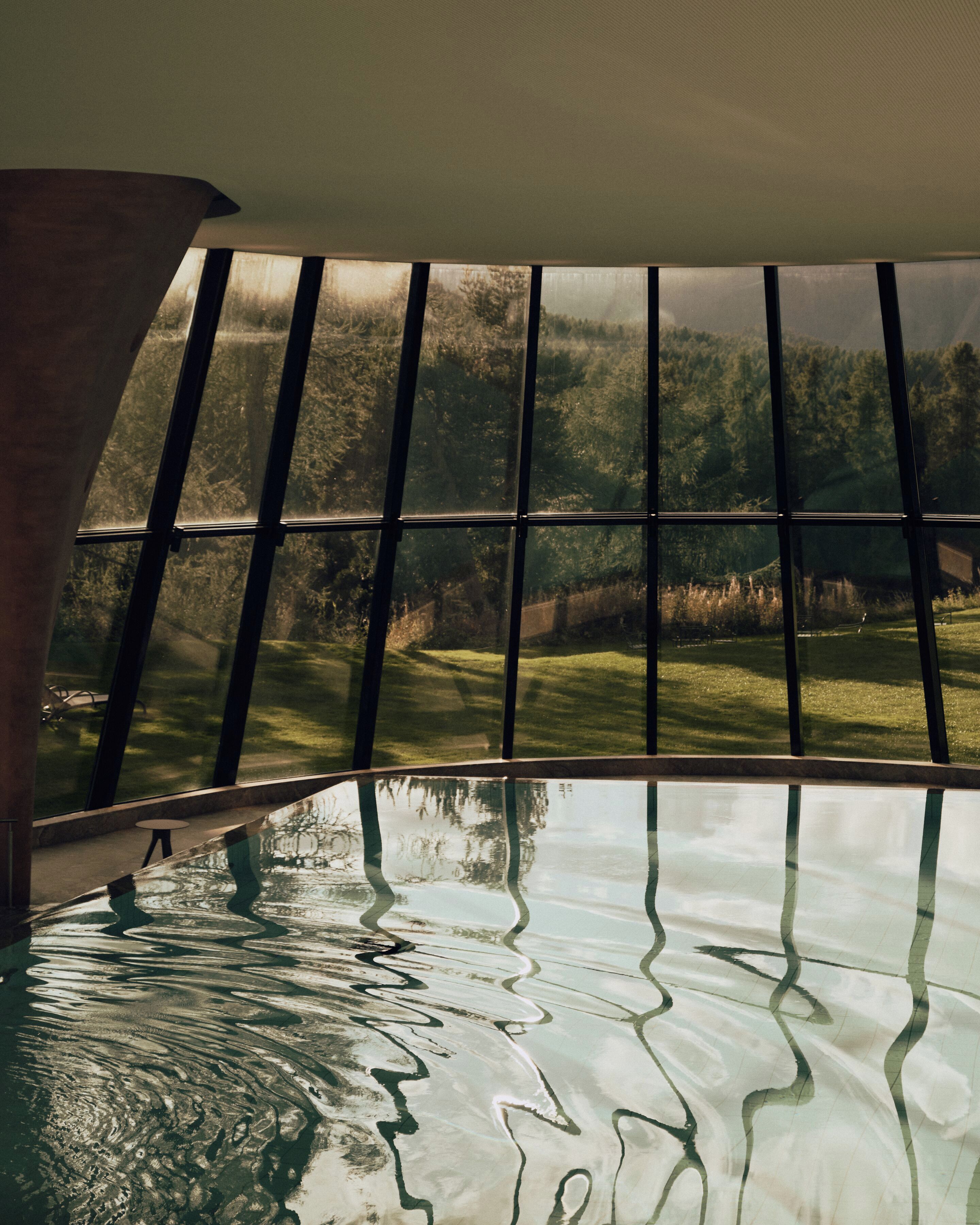 Una piscina con vistas a un bosque a través de amplios ventanales.