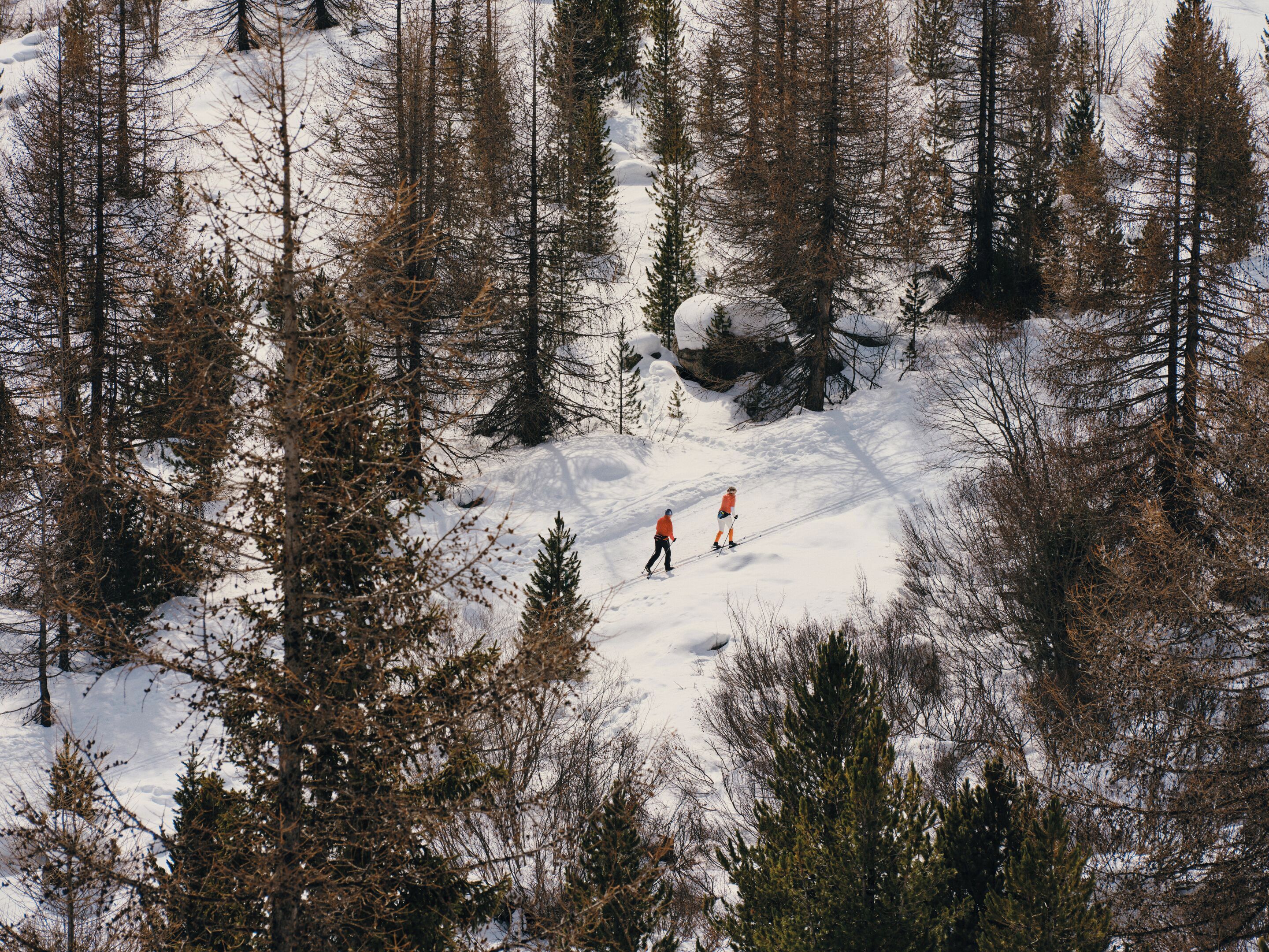 Un bosque nevado con dos esquiadores.
