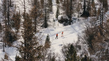 Un bosque nevado con dos esquiadores.