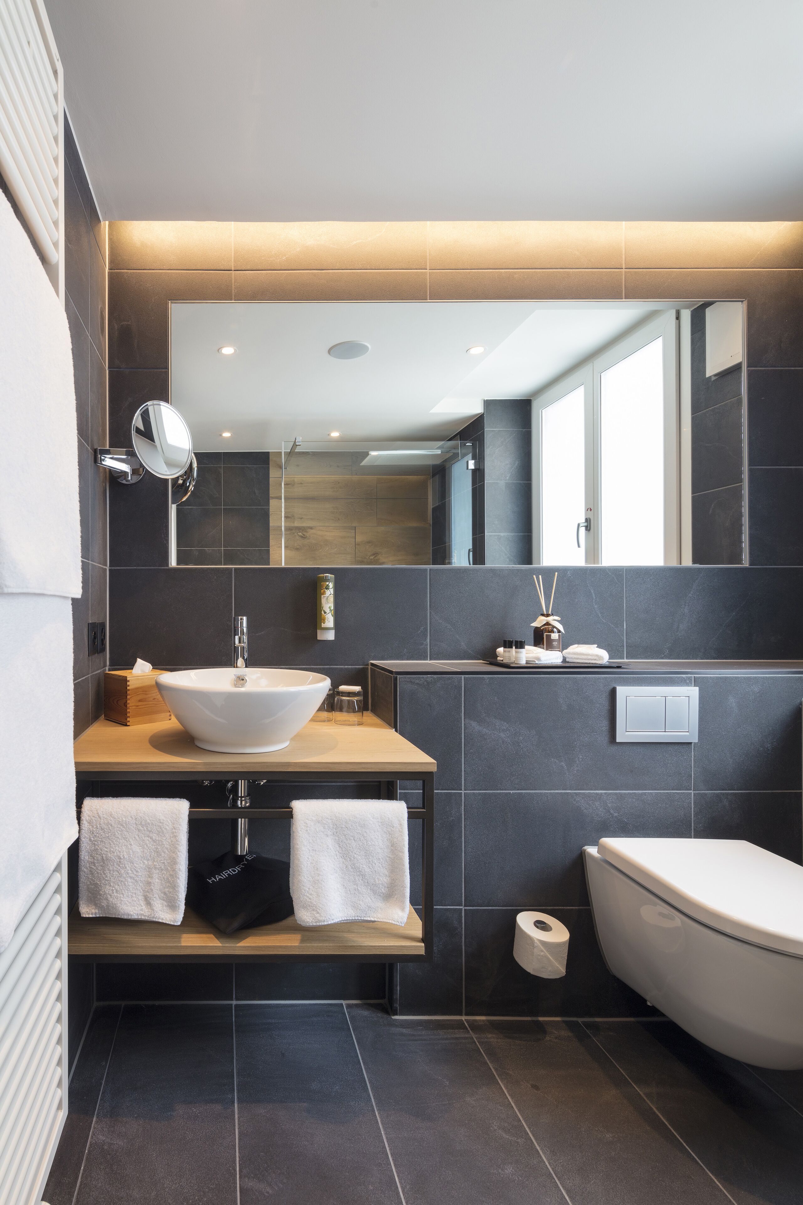 junior suite plus | bathroom | shower, rainfall showerhead, eco-friendly toiletries, hair dryer