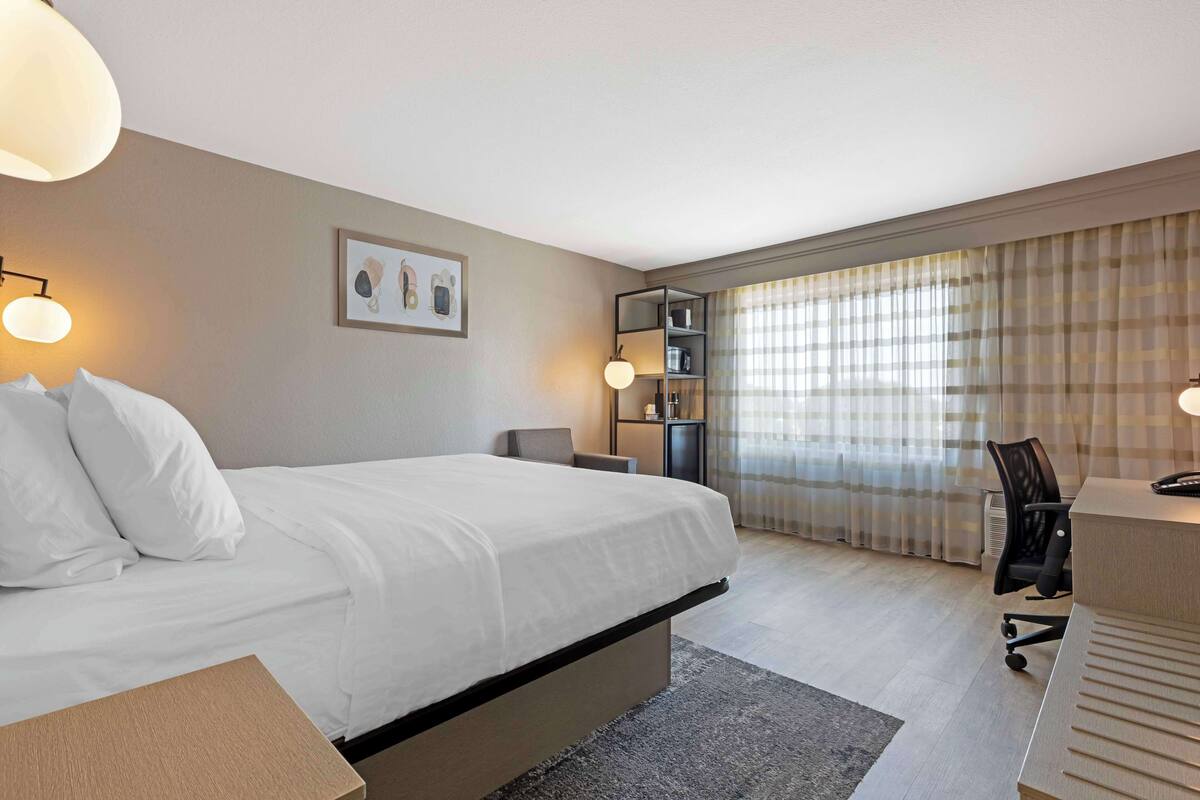 Une chambre d’hôtel équipée d’un lit, d’un bureau, d’une chaise et d’une bibliothèque.