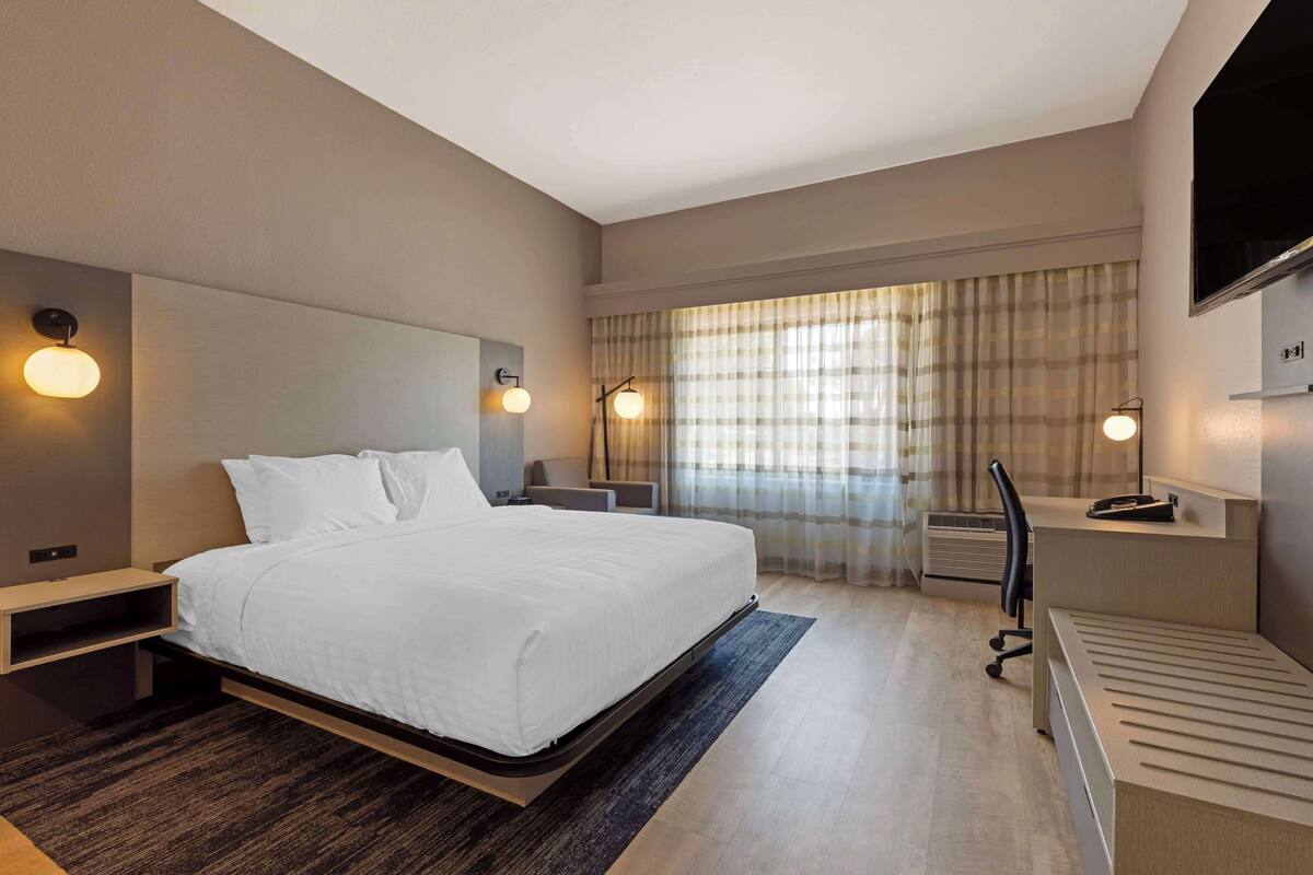 Une chambre d’hôtel moderne, dotée d’un grand lit, de tables de chevet, d’un bureau et d’une télévision.
